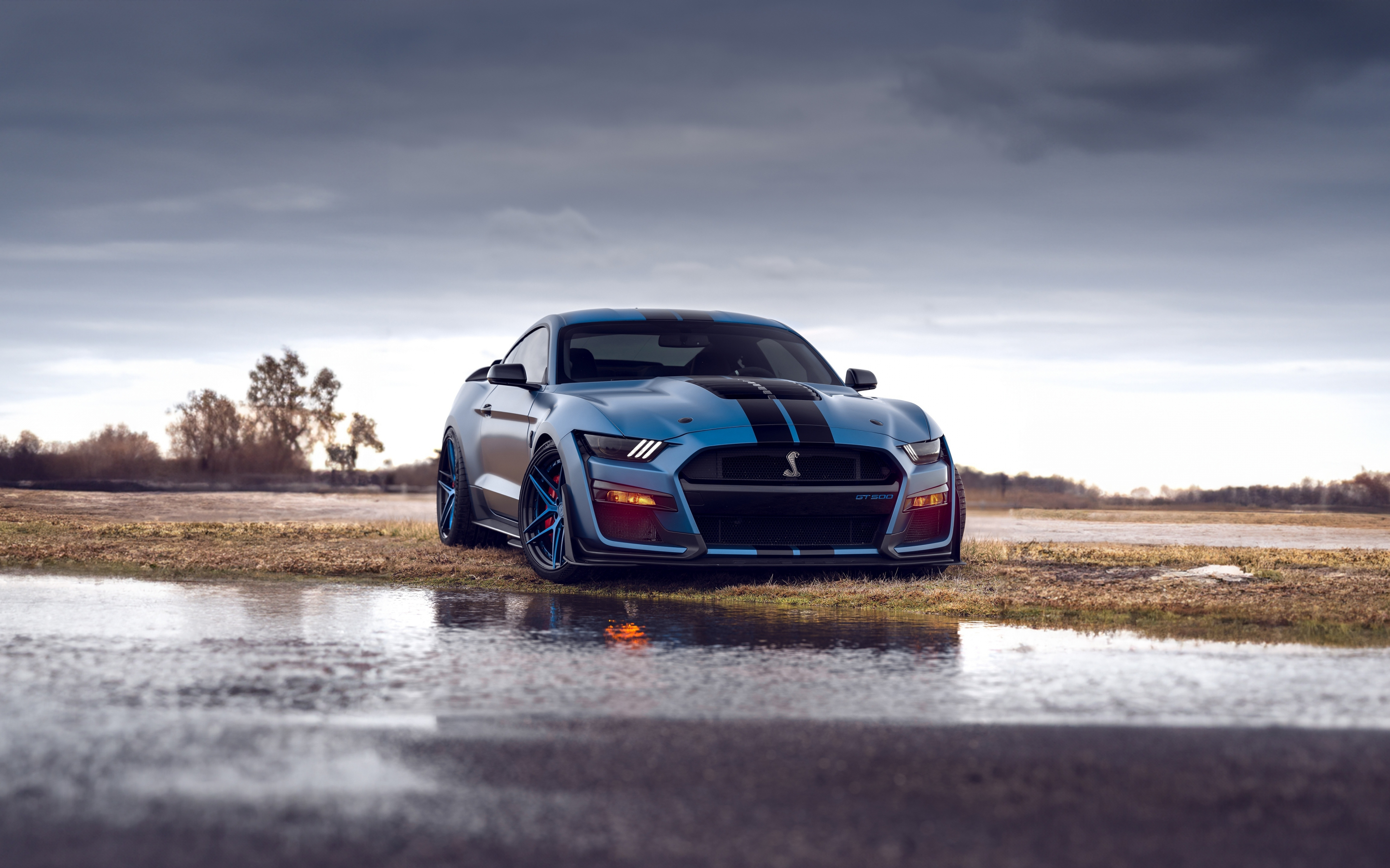 Blue Ford Mustang Shelby Gt500, 2023 car, 2880x1800 wallpaper