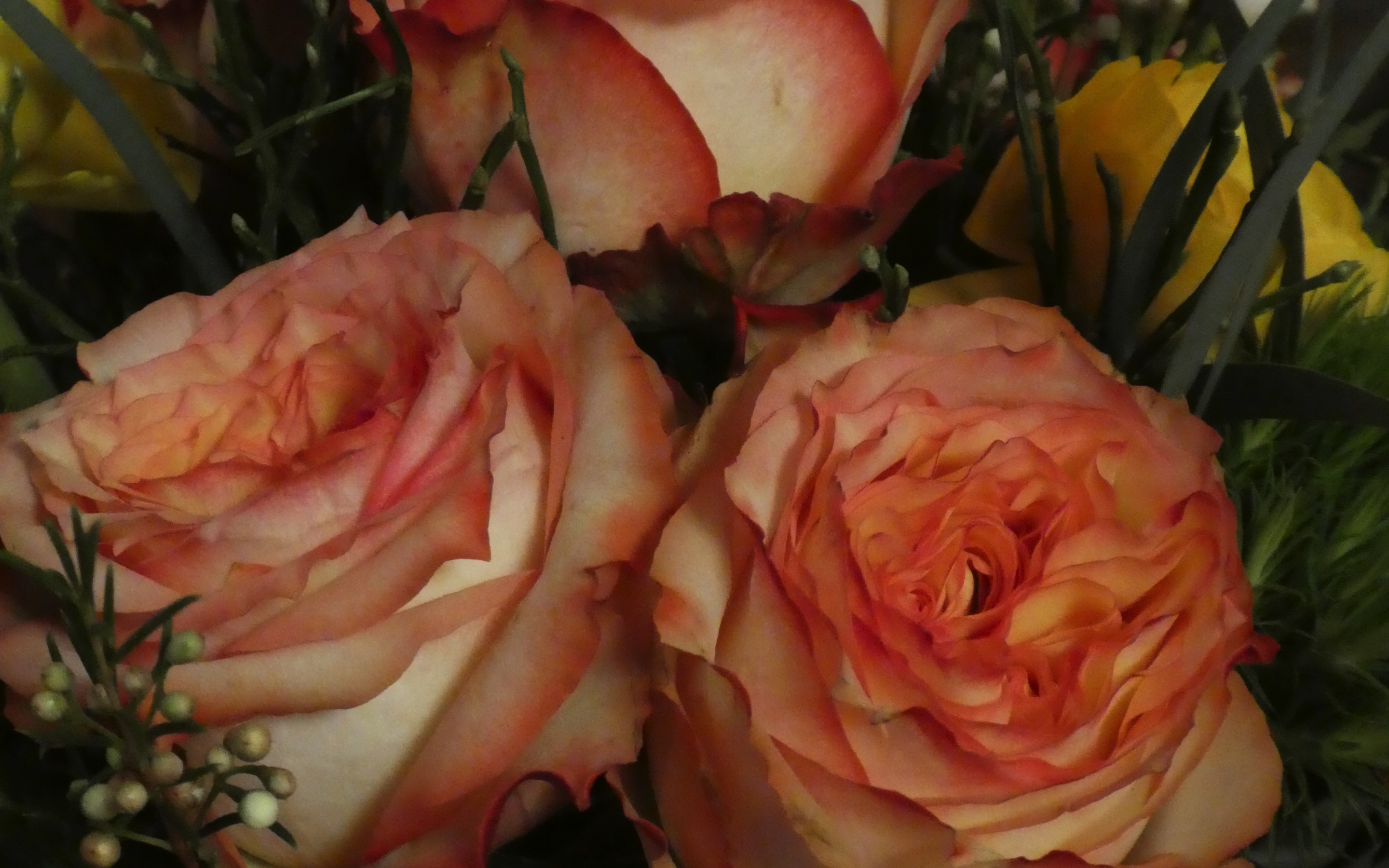 Bouquet, flowers, rose, wild, white flowers, 2880x1800 wallpaper