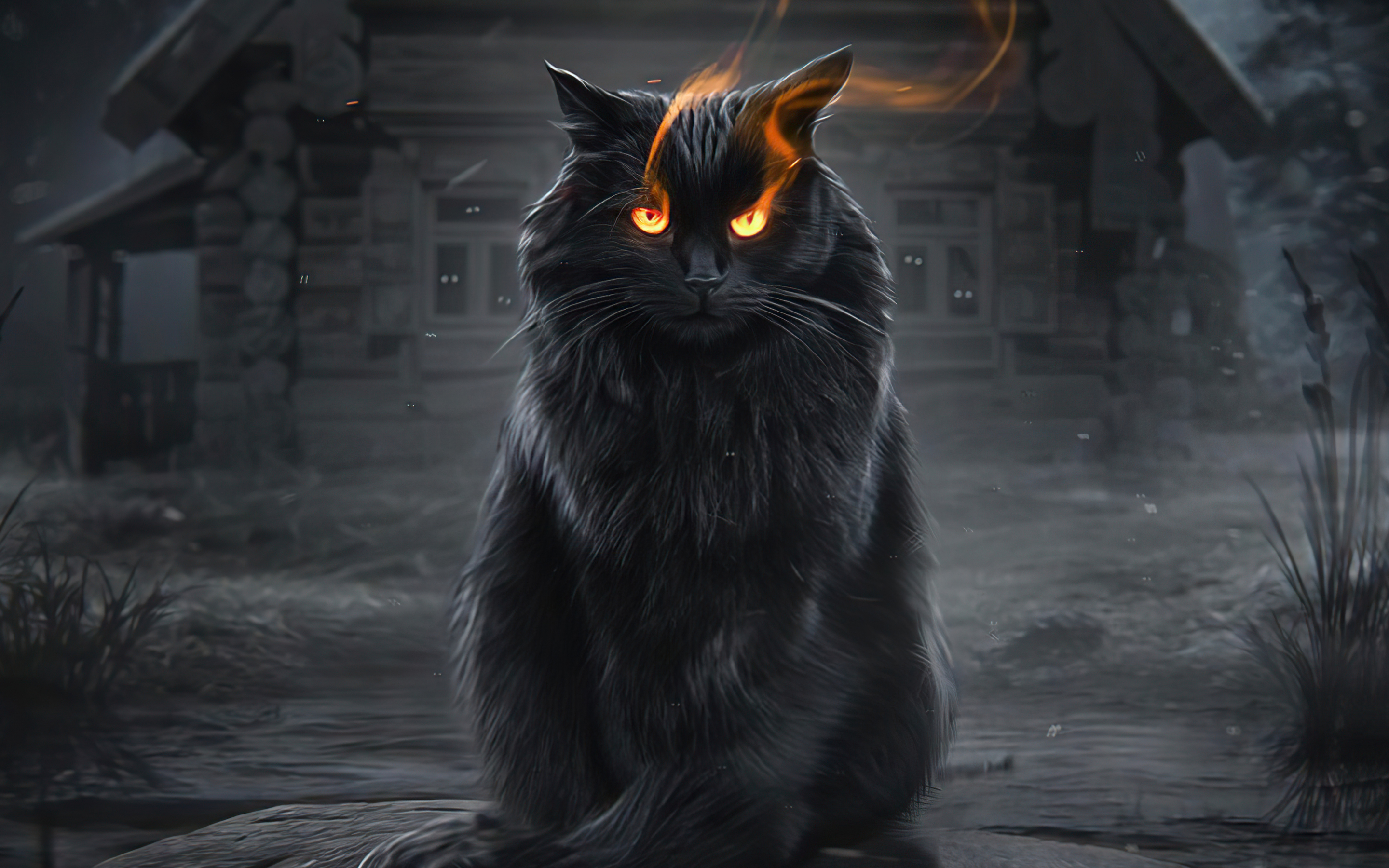 Black cat, fire eyes, fantasy, 2880x1800 wallpaper