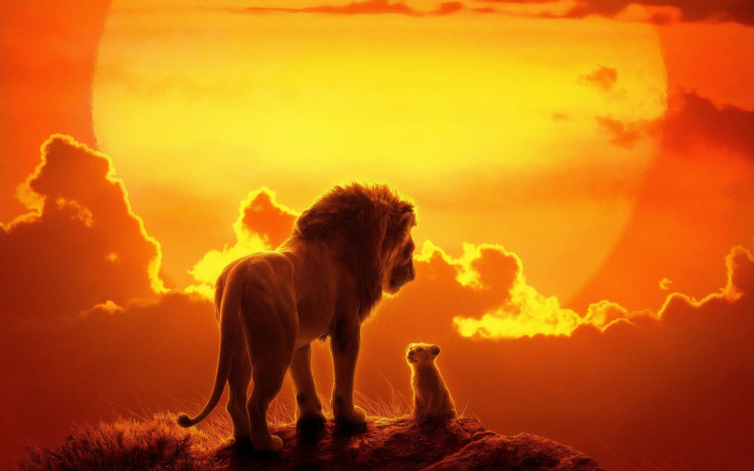 The lion king, lion and cub, 2019 movie, 2880x1800 wallpaper