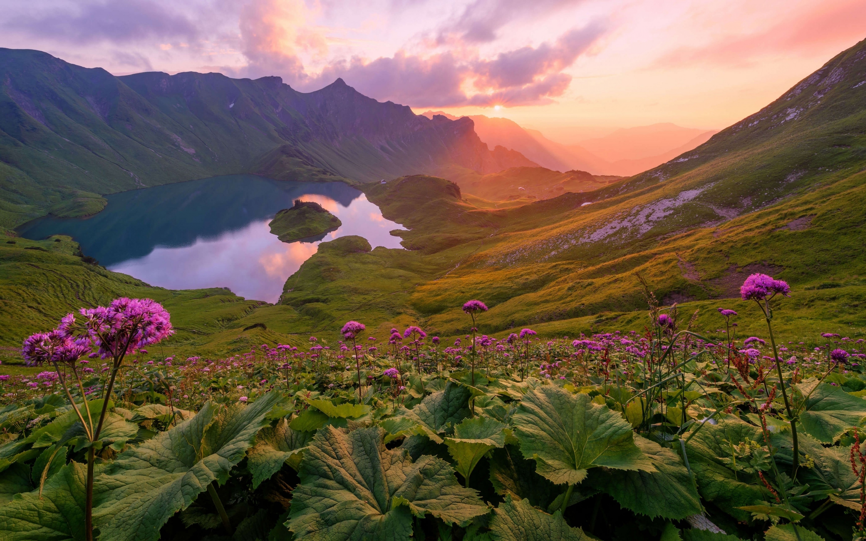 Mountains, lake, valley, pink flowers, valley, blossom, 2880x1800 wallpaper