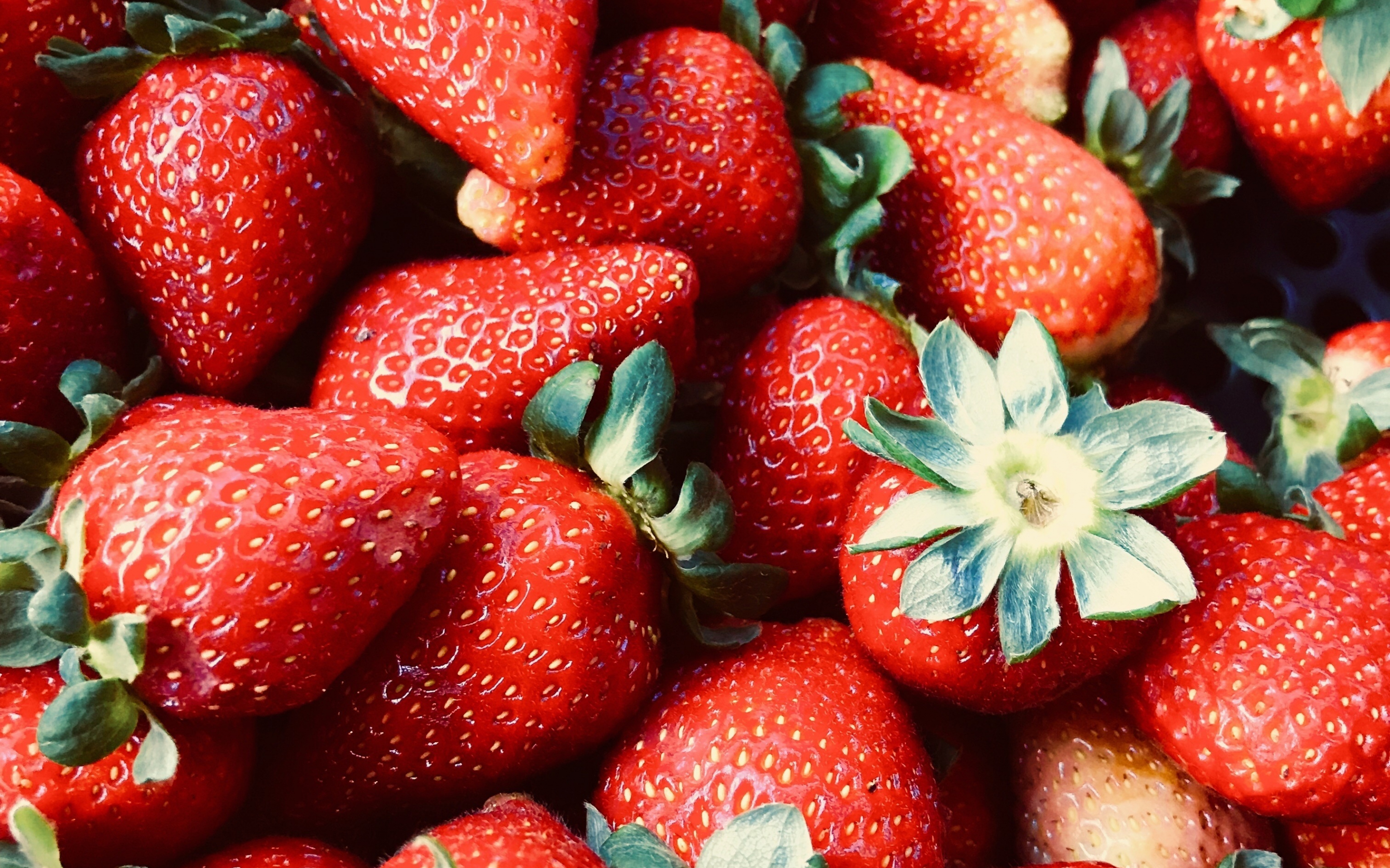 Red fruits, strawberries, fresh, 2880x1800 wallpaper