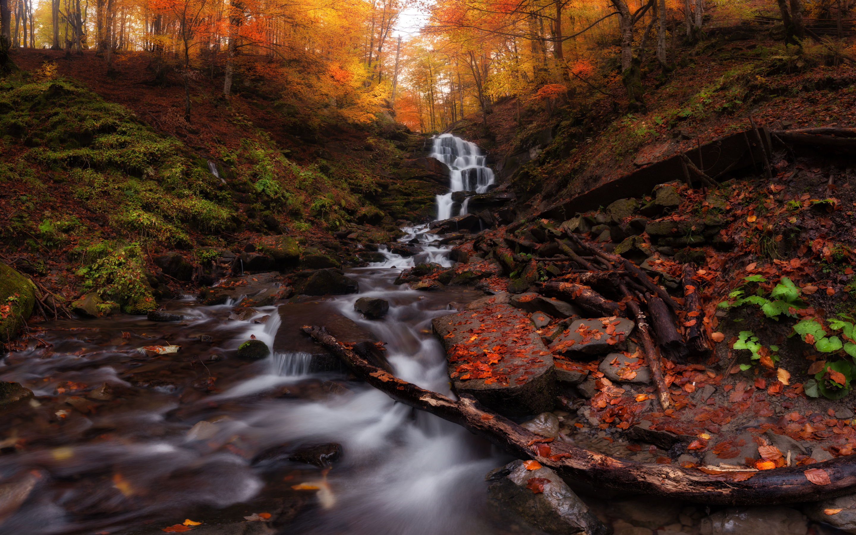 Autumn, forest, water current, waterfall, nature, 2880x1800 wallpaper