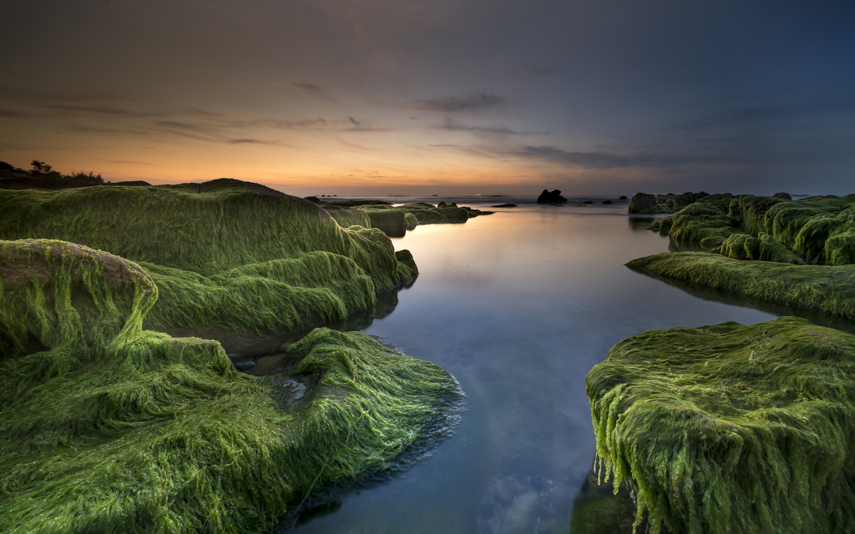 Coast, rocks, moss, nature, sunset, 2880x1800 wallpaper