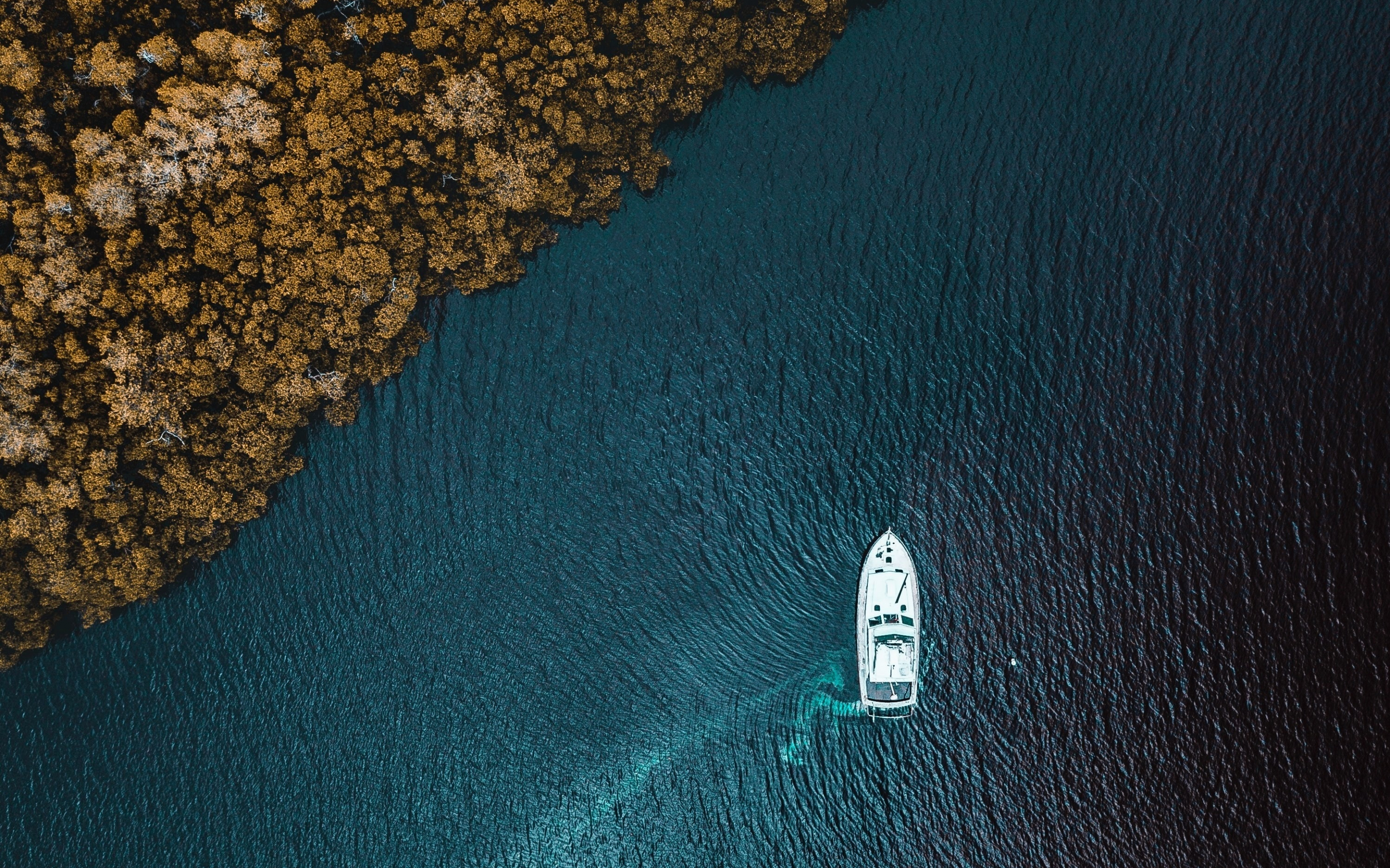 Aerial view, sea, forest, boat, 2880x1800 wallpaper