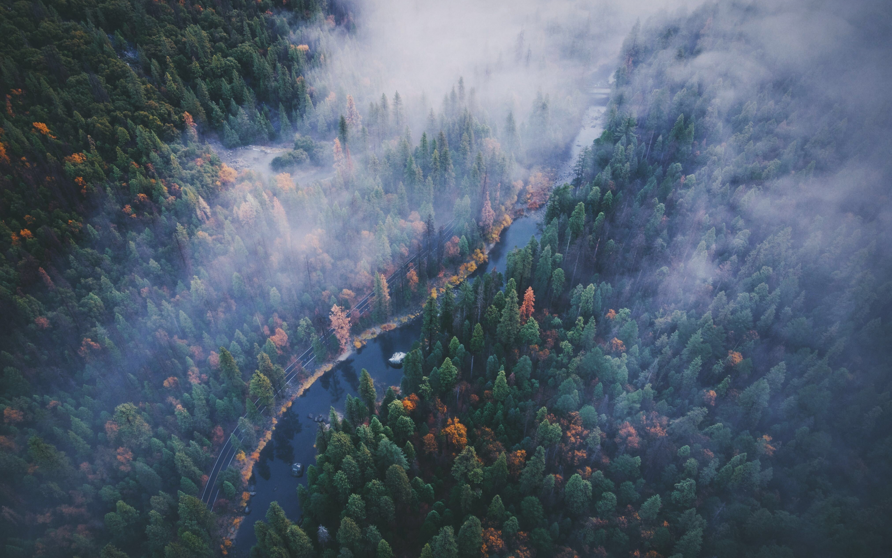 River, aerial view, forest, Yosemite valley, 2880x1800 wallpaper