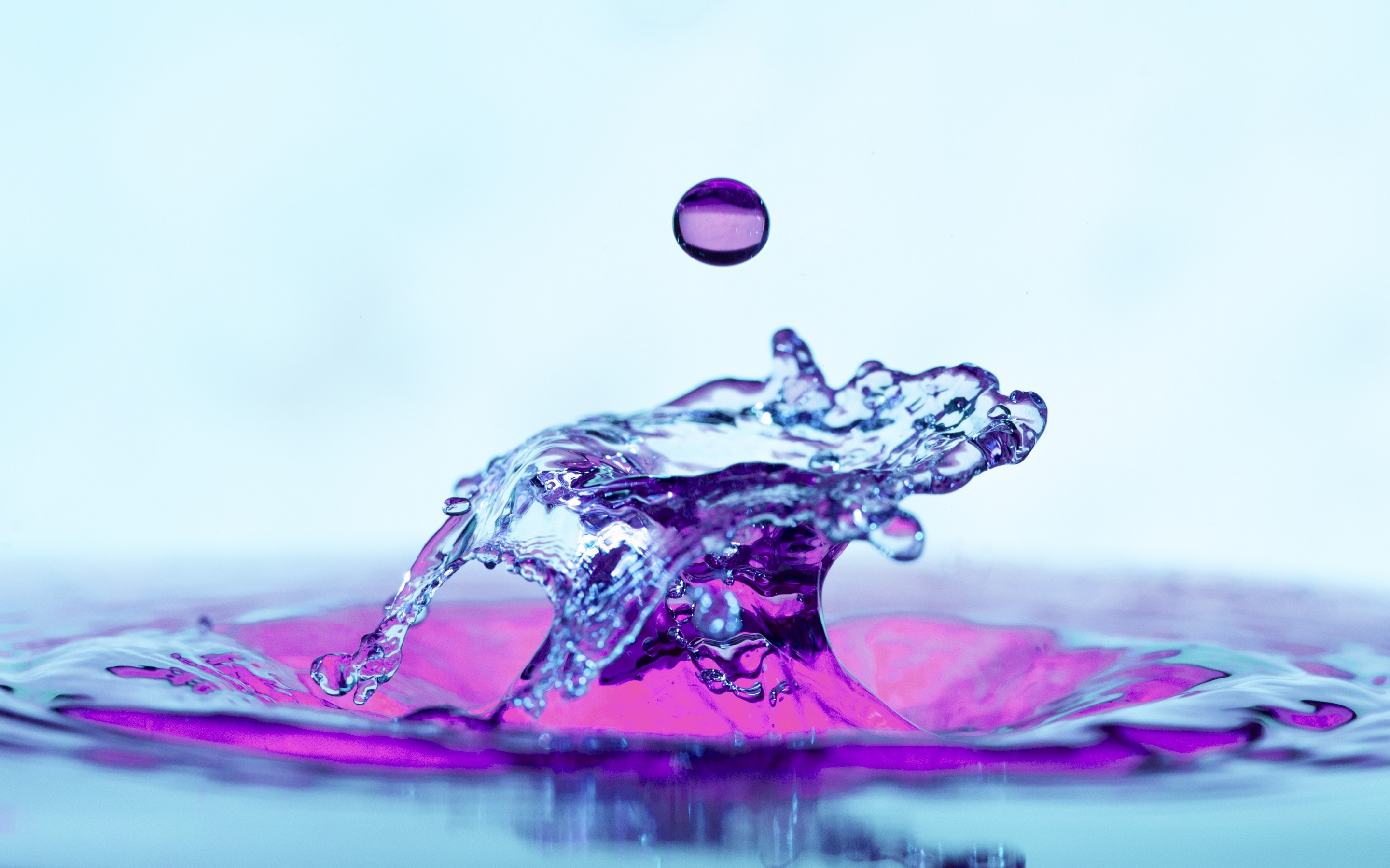 Violet-transparent, liquid splash, close up, 2880x1800 wallpaper
