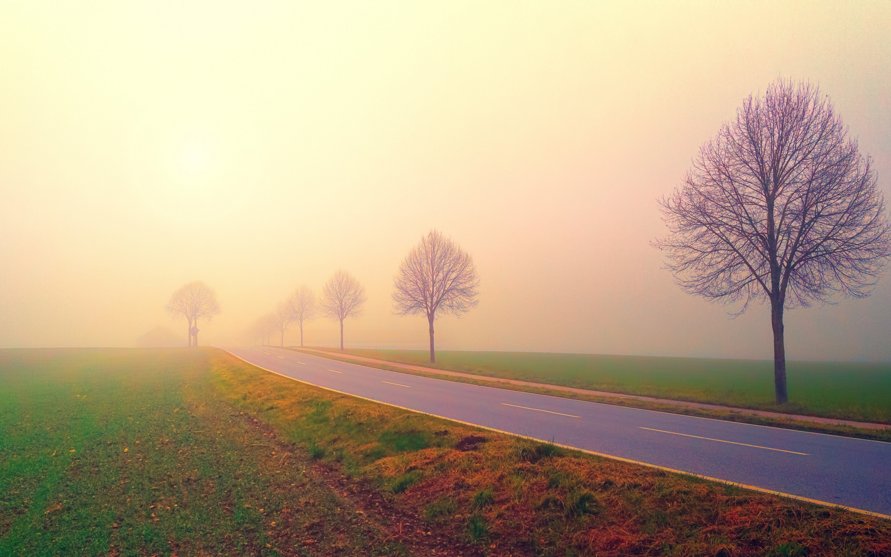 Foggy day, dawn, sunrise, highway, road, landscape, 2880x1800 wallpaper