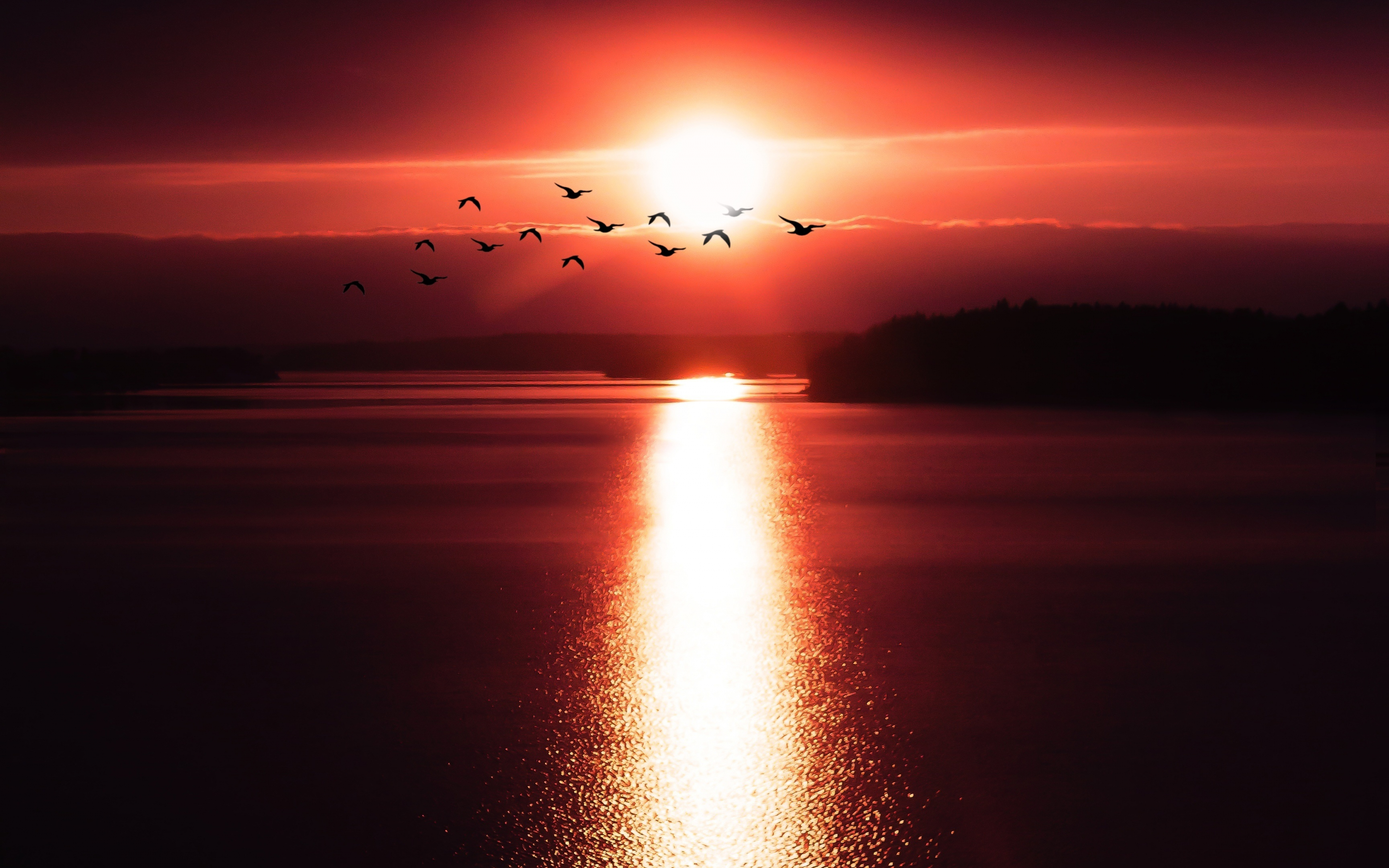 Sunset, reflections, birds, shine, 2880x1800 wallpaper