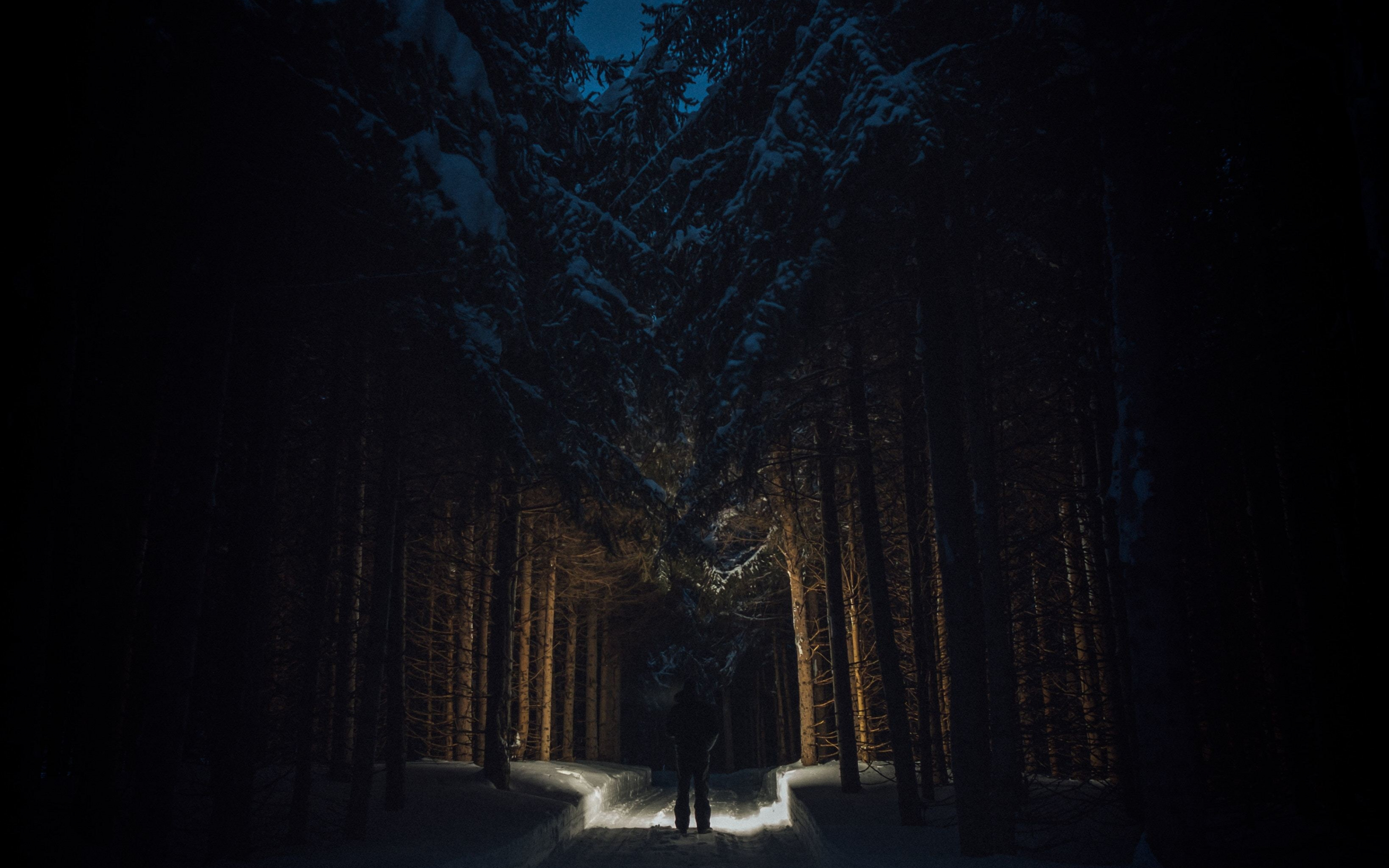 Man, dark, night out, trees, forest, 2880x1800 wallpaper