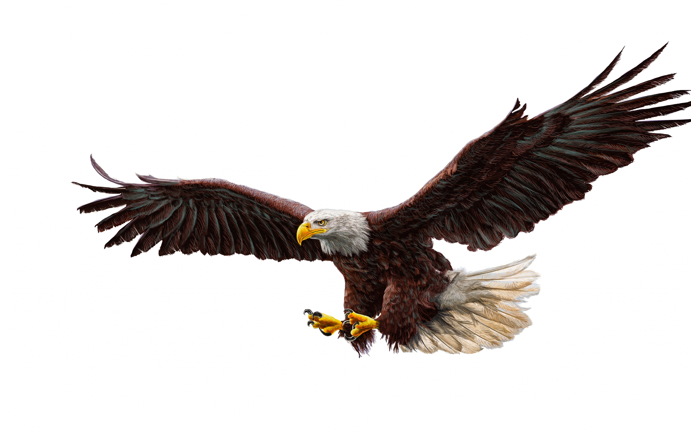 Bald eagle, bird predator, art, 2880x1800 wallpaper