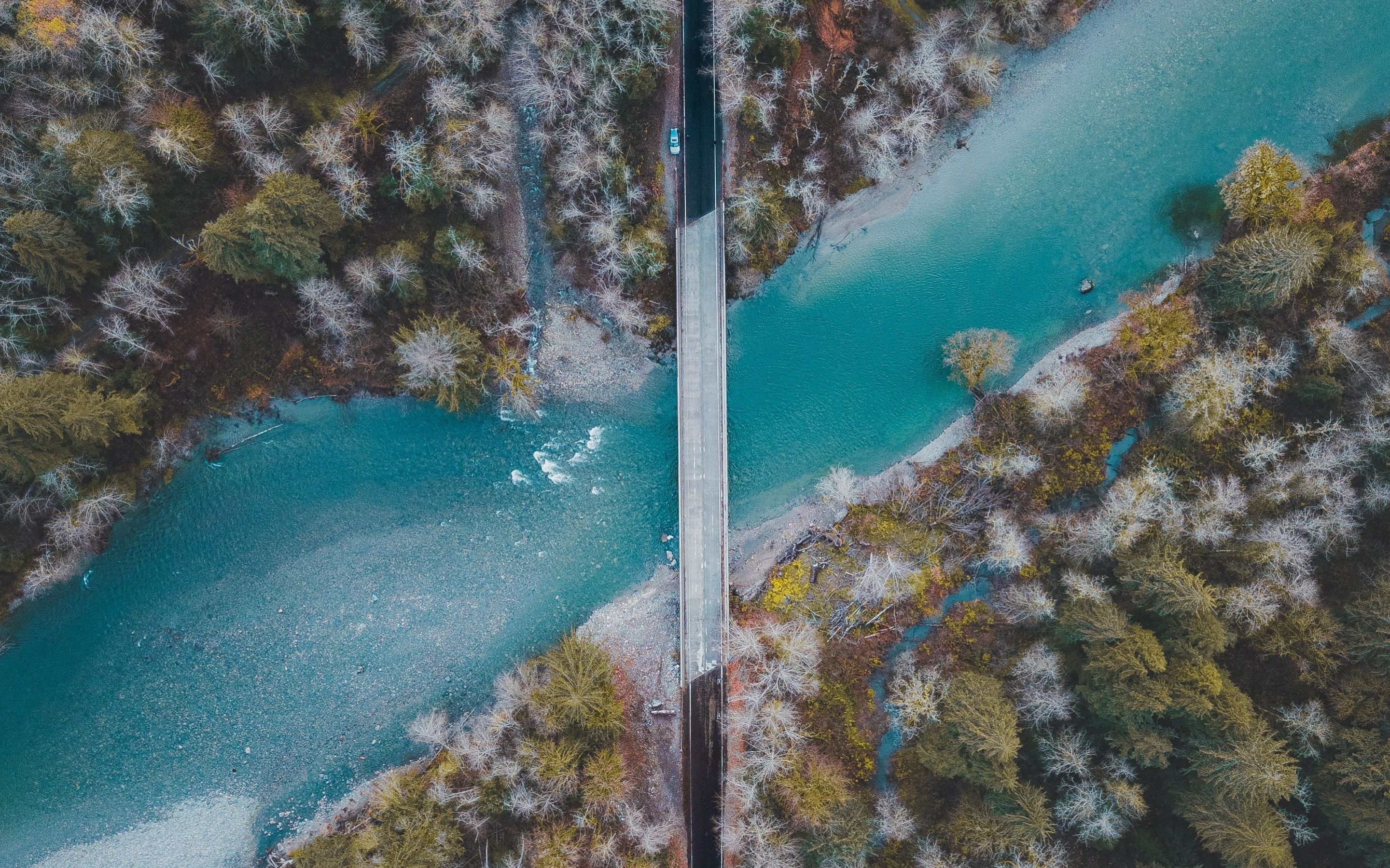 Bridge, river, forest, nature, aerial view, 2880x1800 wallpaper