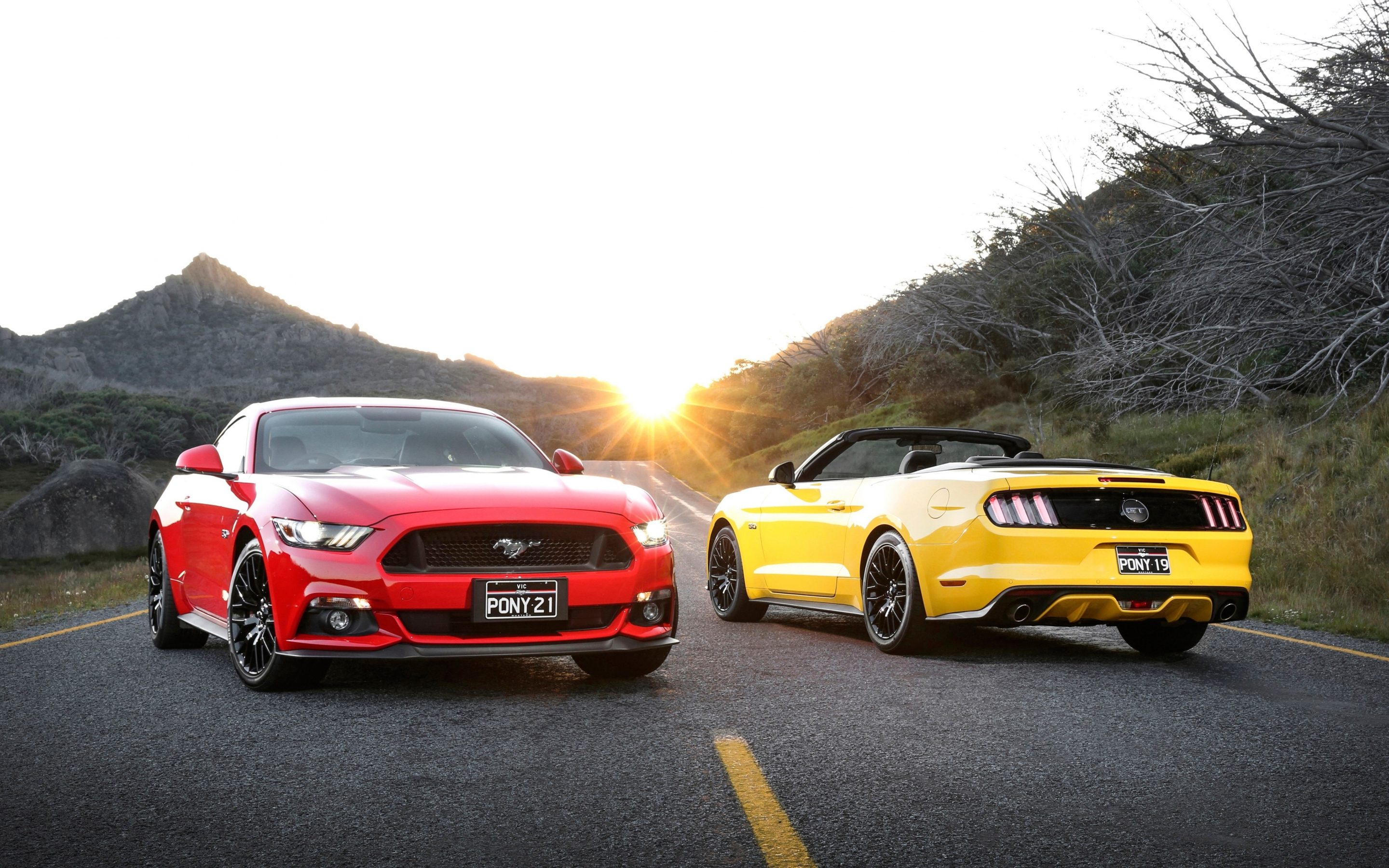Ford mustang, cars, 2880x1800 wallpaper
