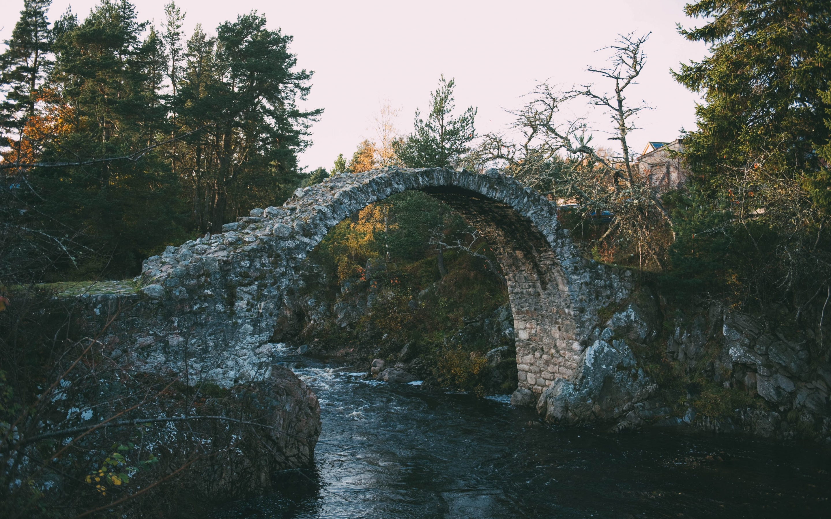 Stone bridge, water stream, river, nature, 2880x1800 wallpaper