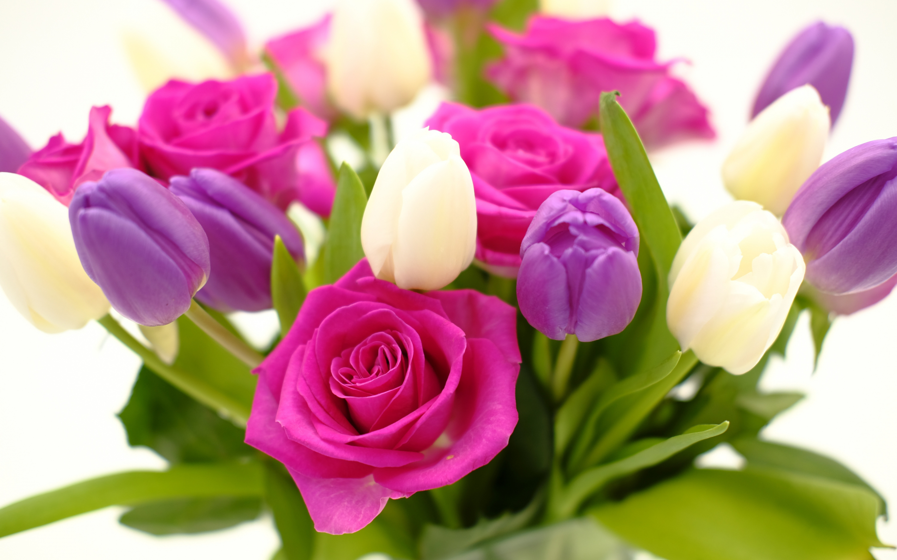 Bouquet, roses and tulips, flowers, 2880x1800 wallpaper