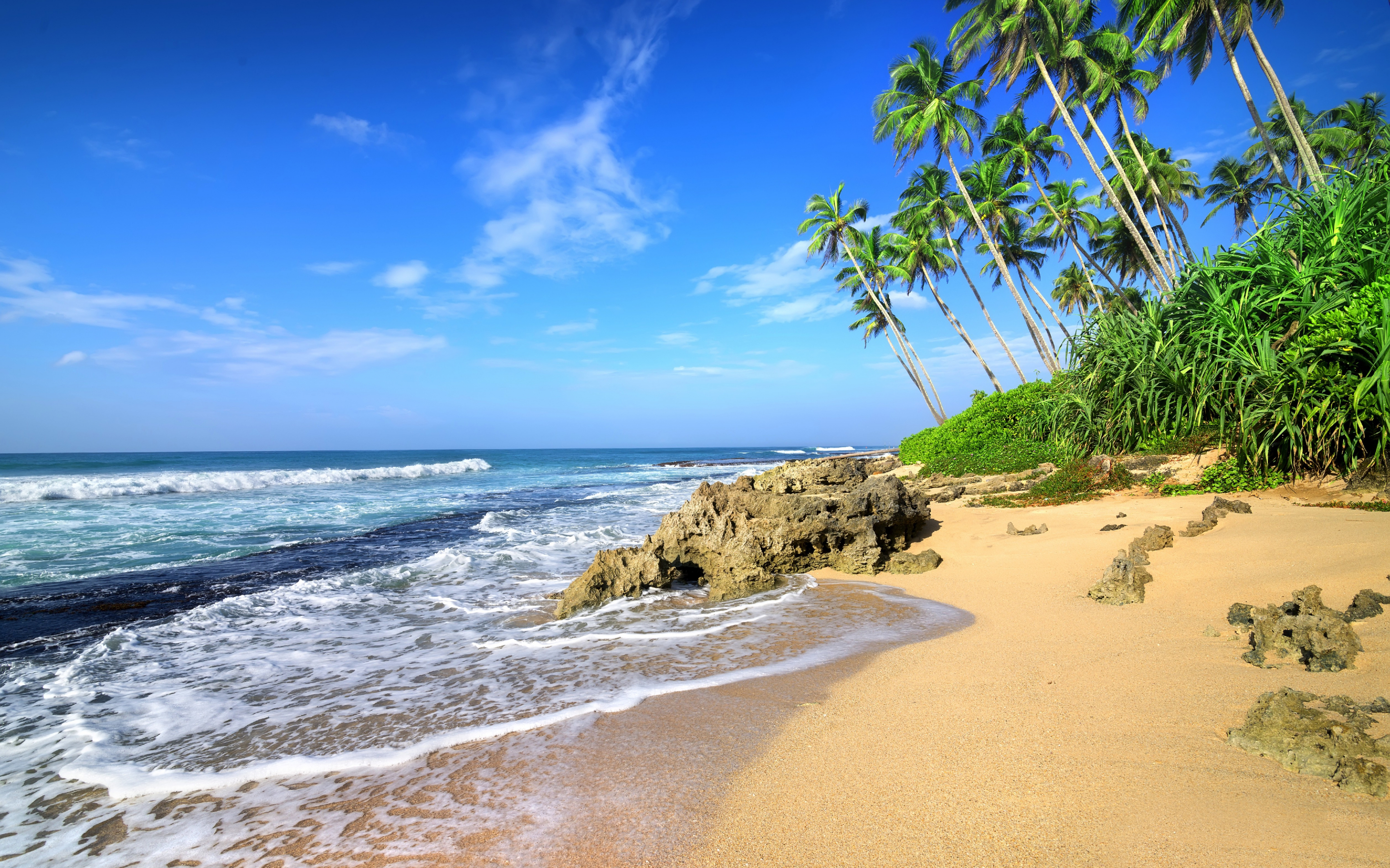 Beach, sea waves, tropical beach, palm tree, 2880x1800 wallpaper