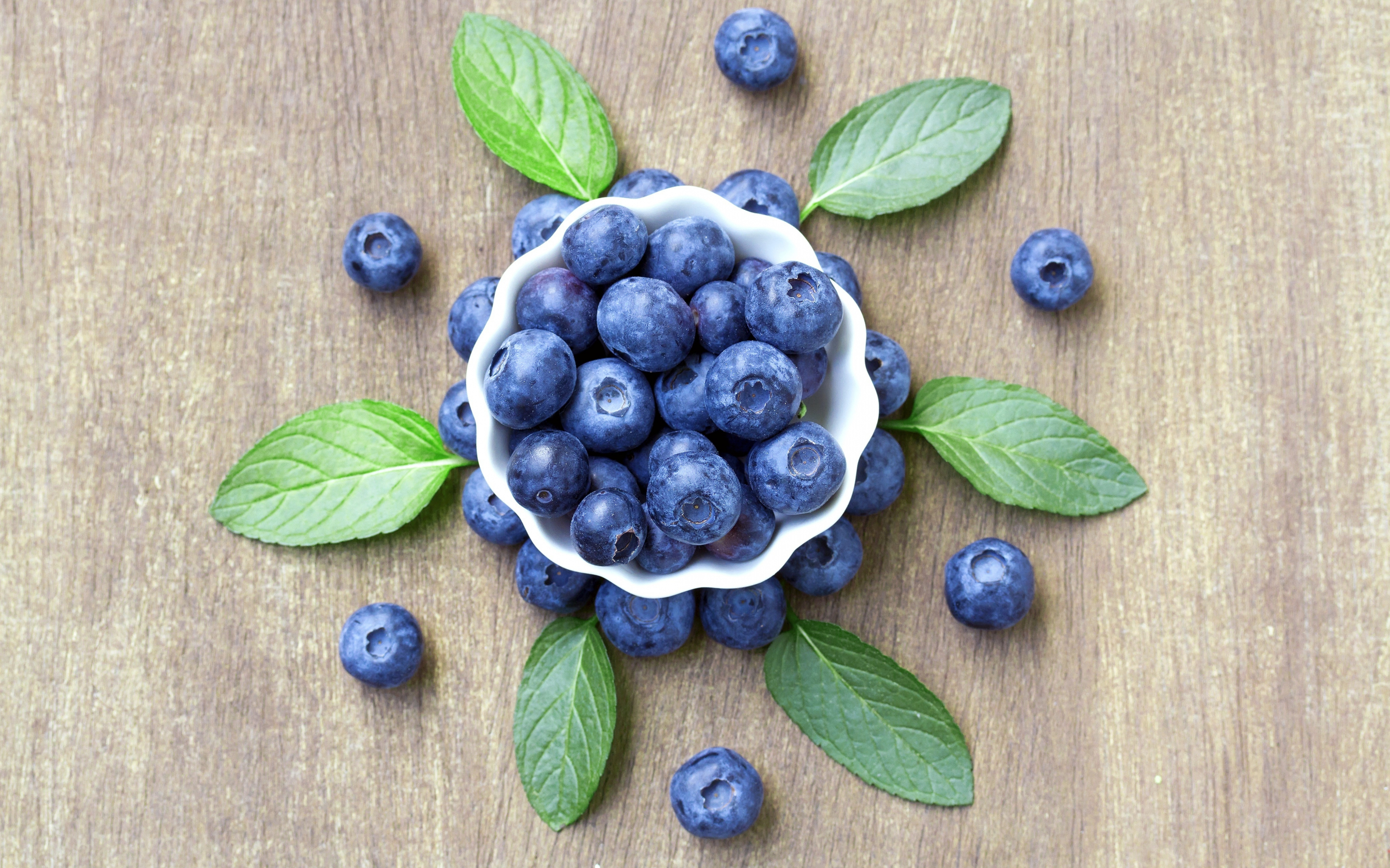 Fresh blueberry bowl, summer, 2880x1800 wallpaper