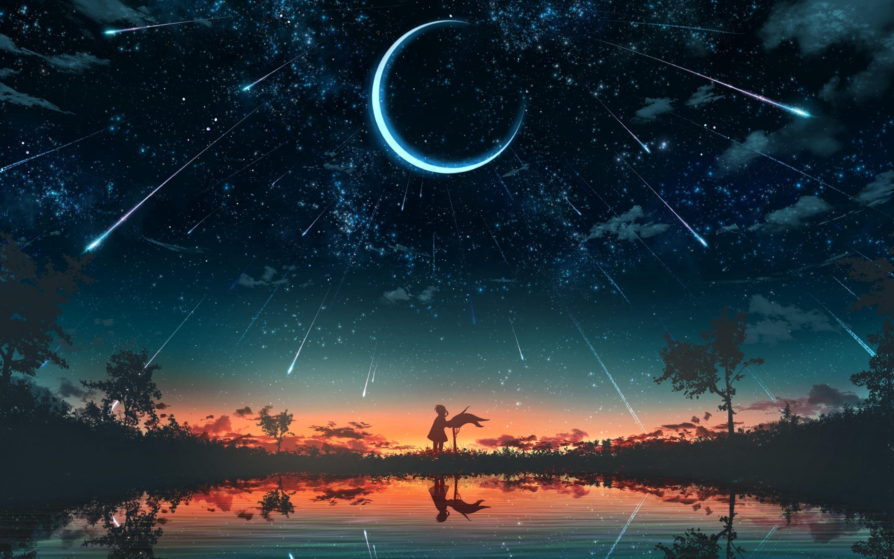 Anime, original, night, crescent, silhouette, star trails, 2880x1800 wallpaper