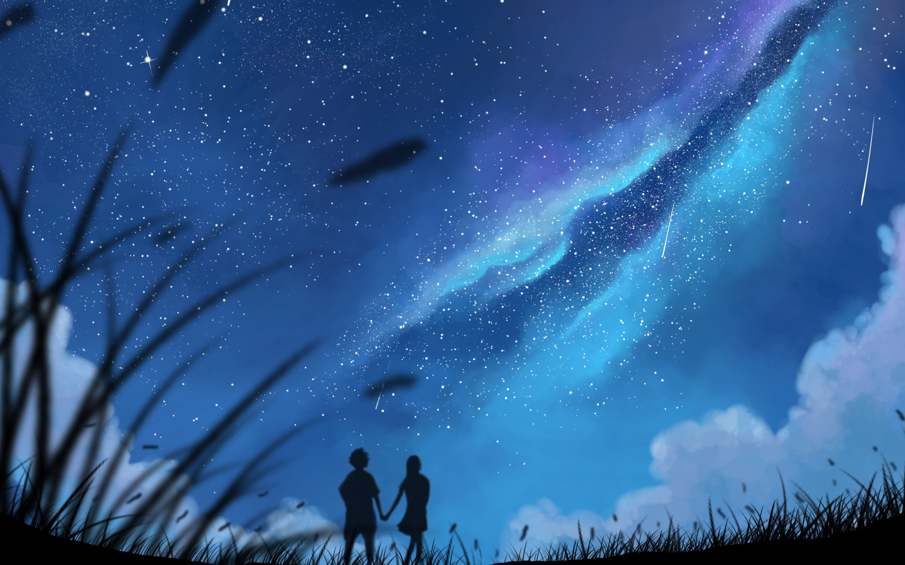 Couple, love, holding hands, outdoor, night, silhouette, 2880x1800 wallpaper