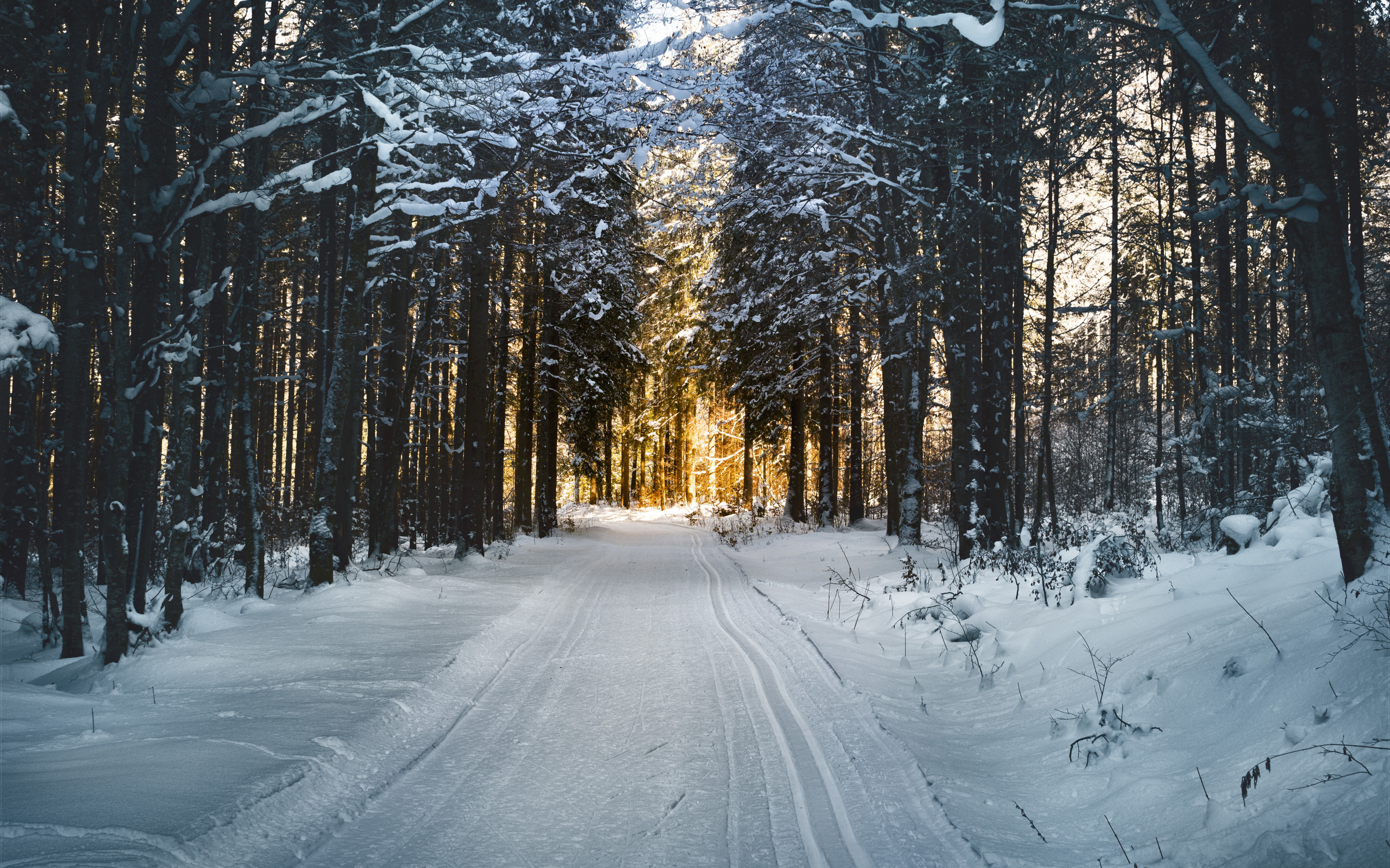 Winter, snow road, trees, nature, 2880x1800 wallpaper