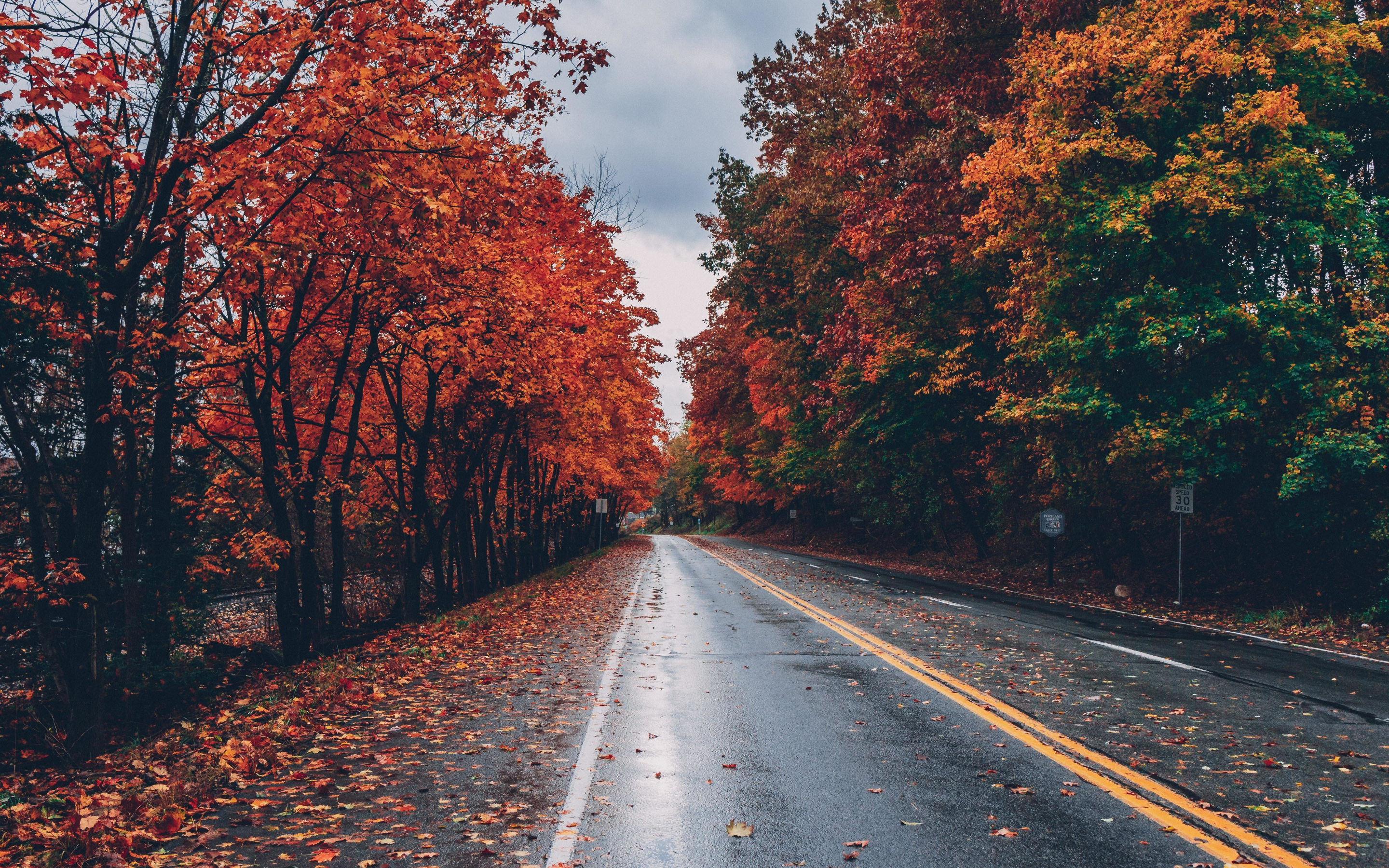 Road, autumn, tree, highway, 2880x1800 wallpaper