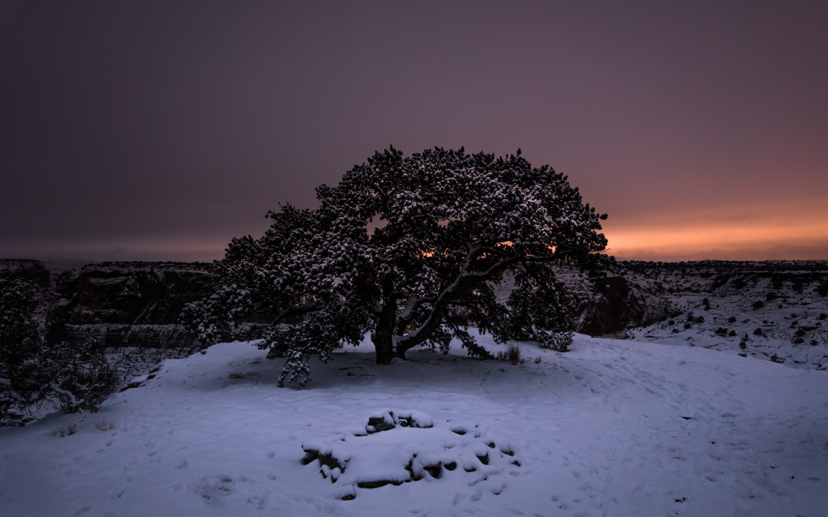 Tree, sunset, winter, landscape, 2880x1800 wallpaper