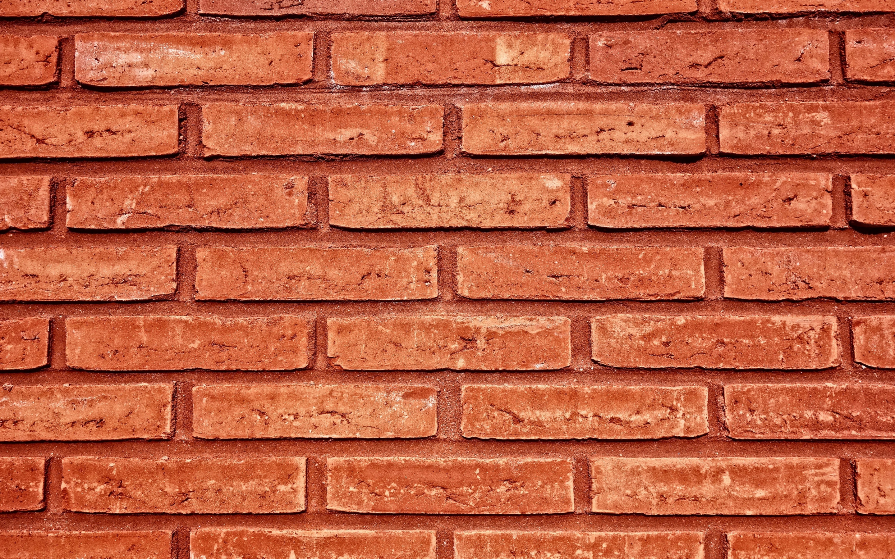 Bricks wall, texture, surface, 2880x1800 wallpaper