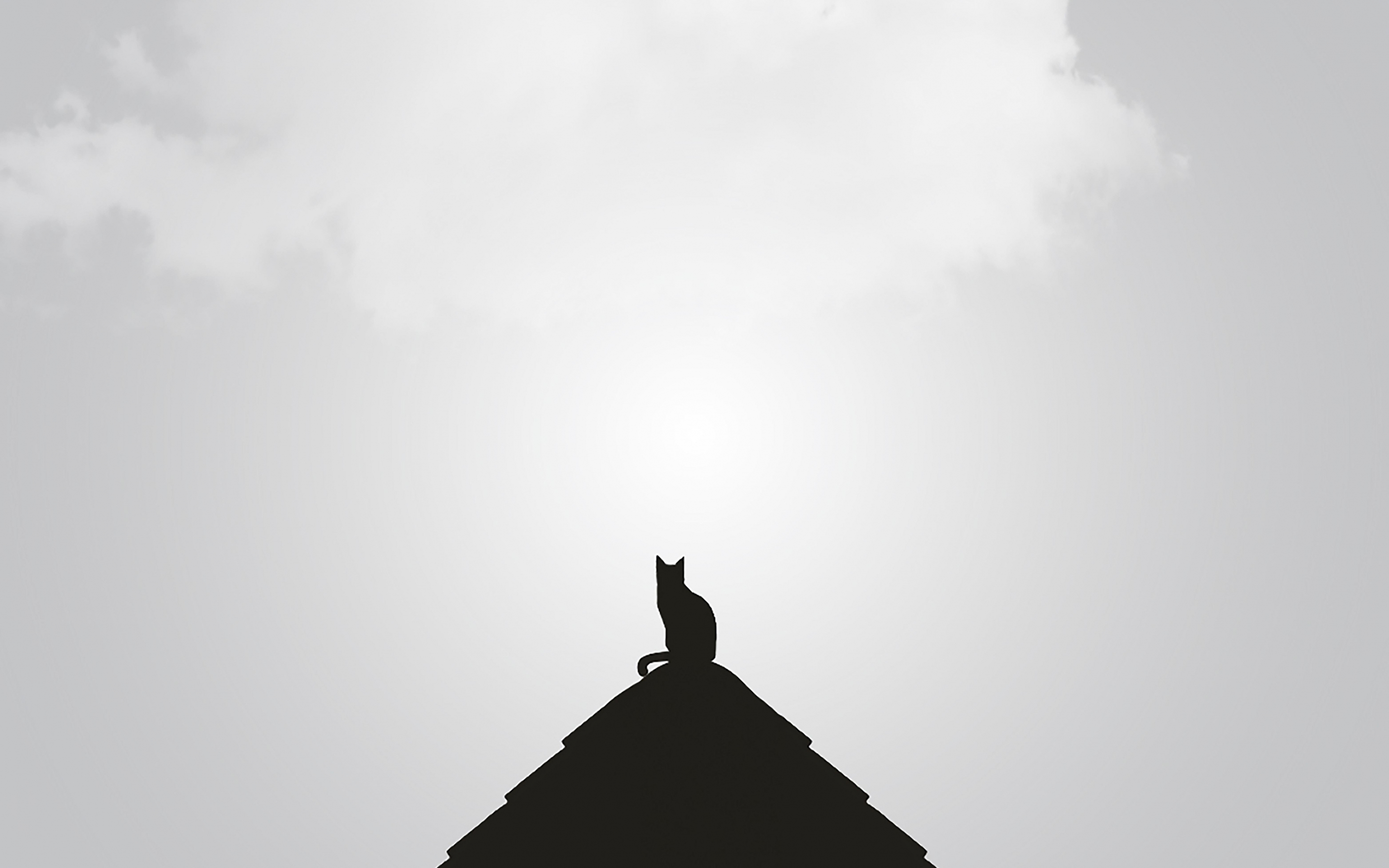 Silhouette, minimal, cat, rooftop, 2880x1800 wallpaper