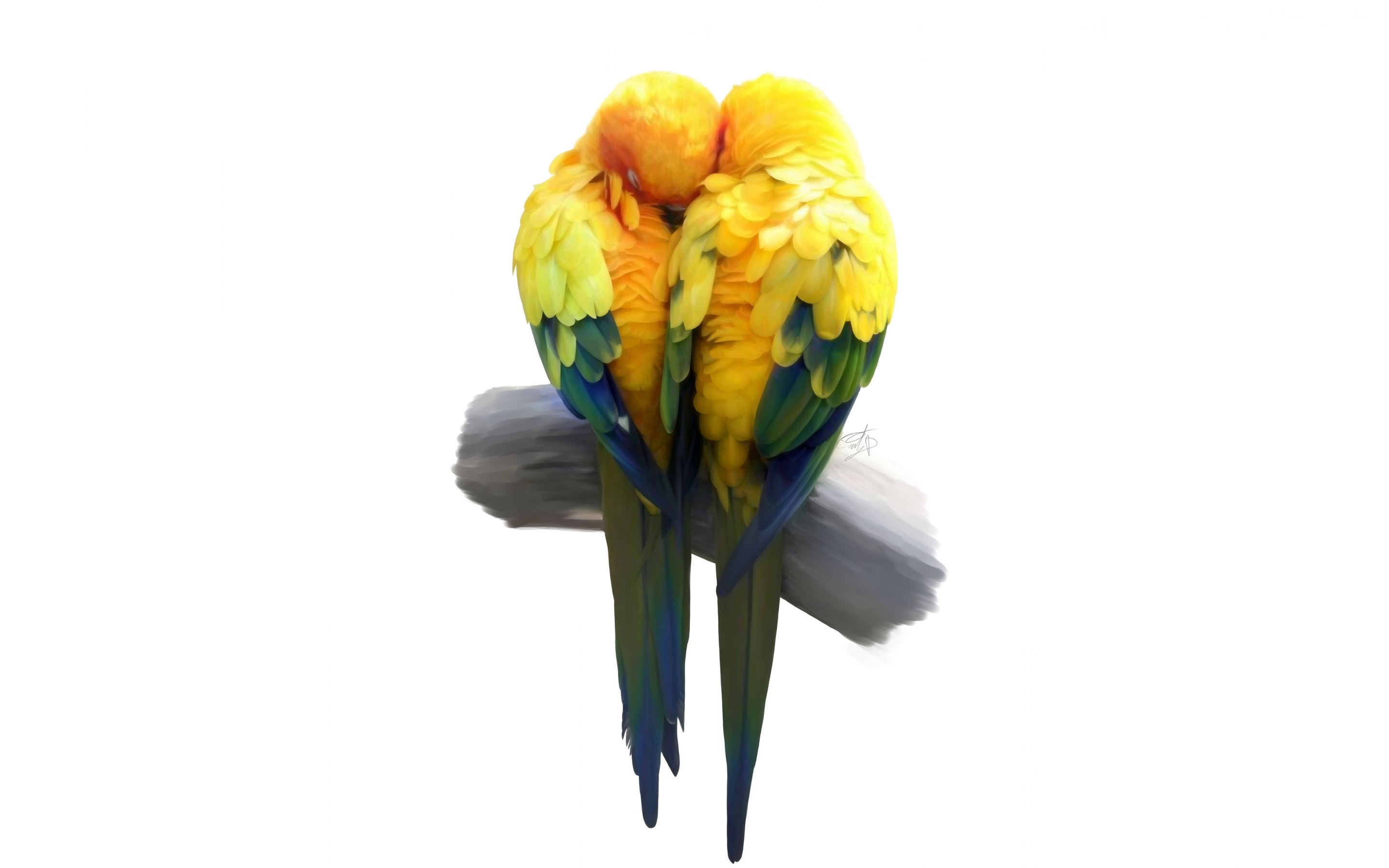 Birds, pair, love, minimal, artwork, parrot, 2880x1800 wallpaper