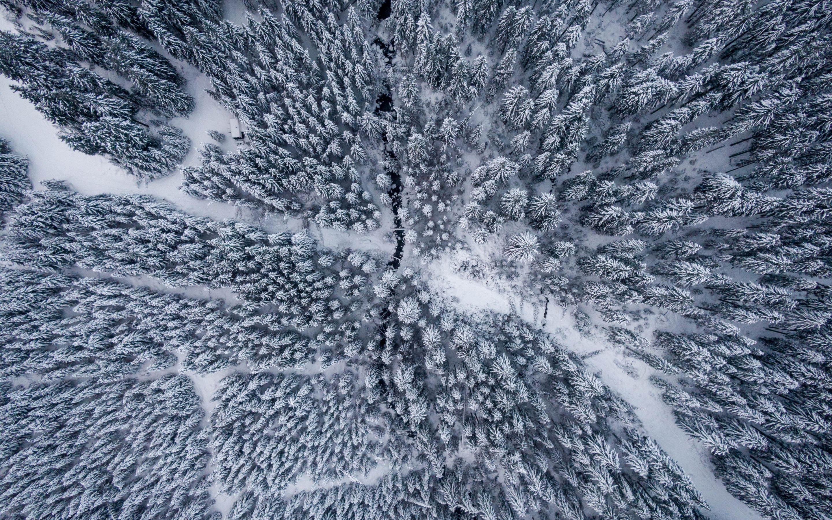 Winter, snowfrost, aerial view, forest, 2880x1800 wallpaper