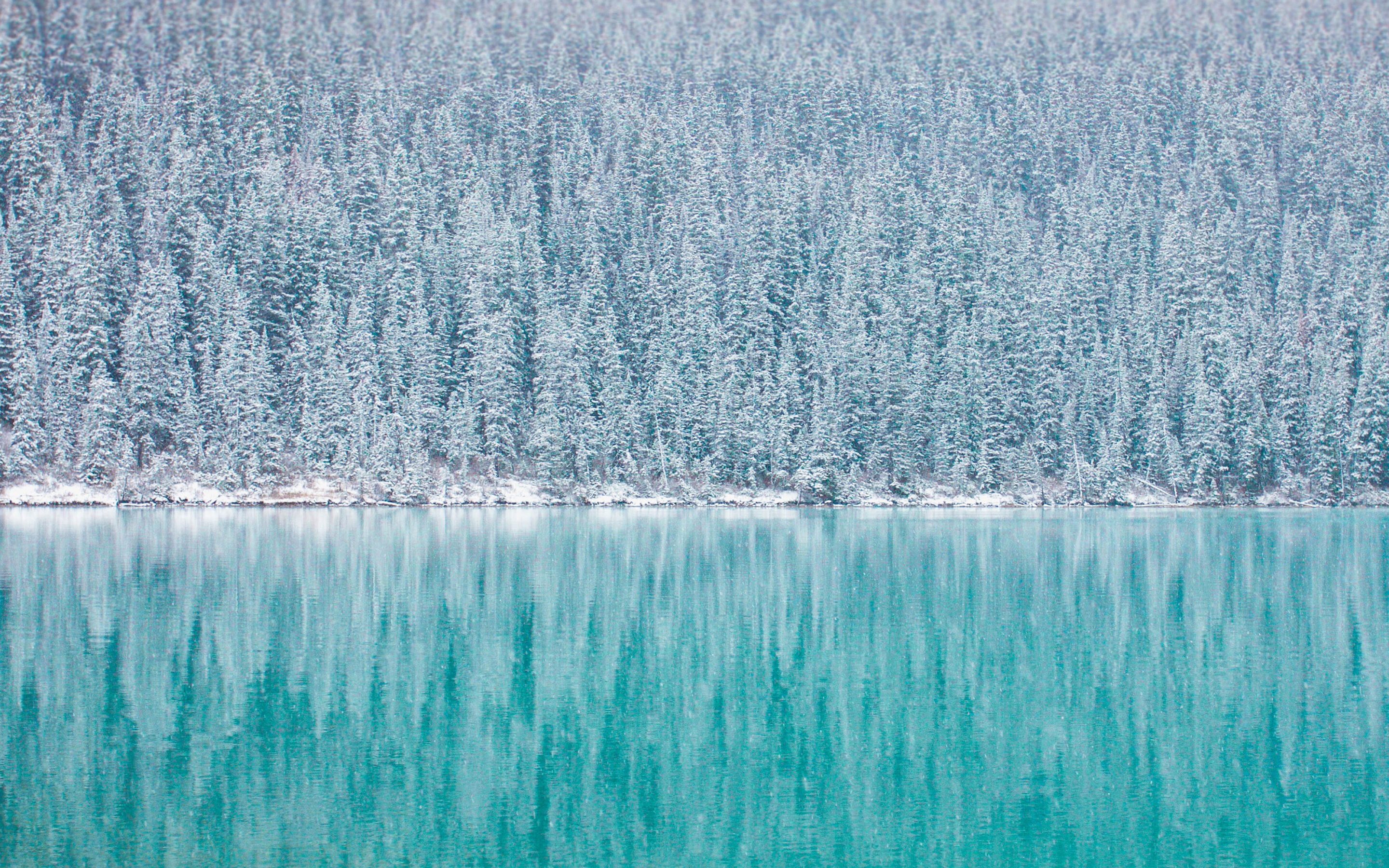 Pine trees, winter, reflections, blue lake, 2880x1800 wallpaper