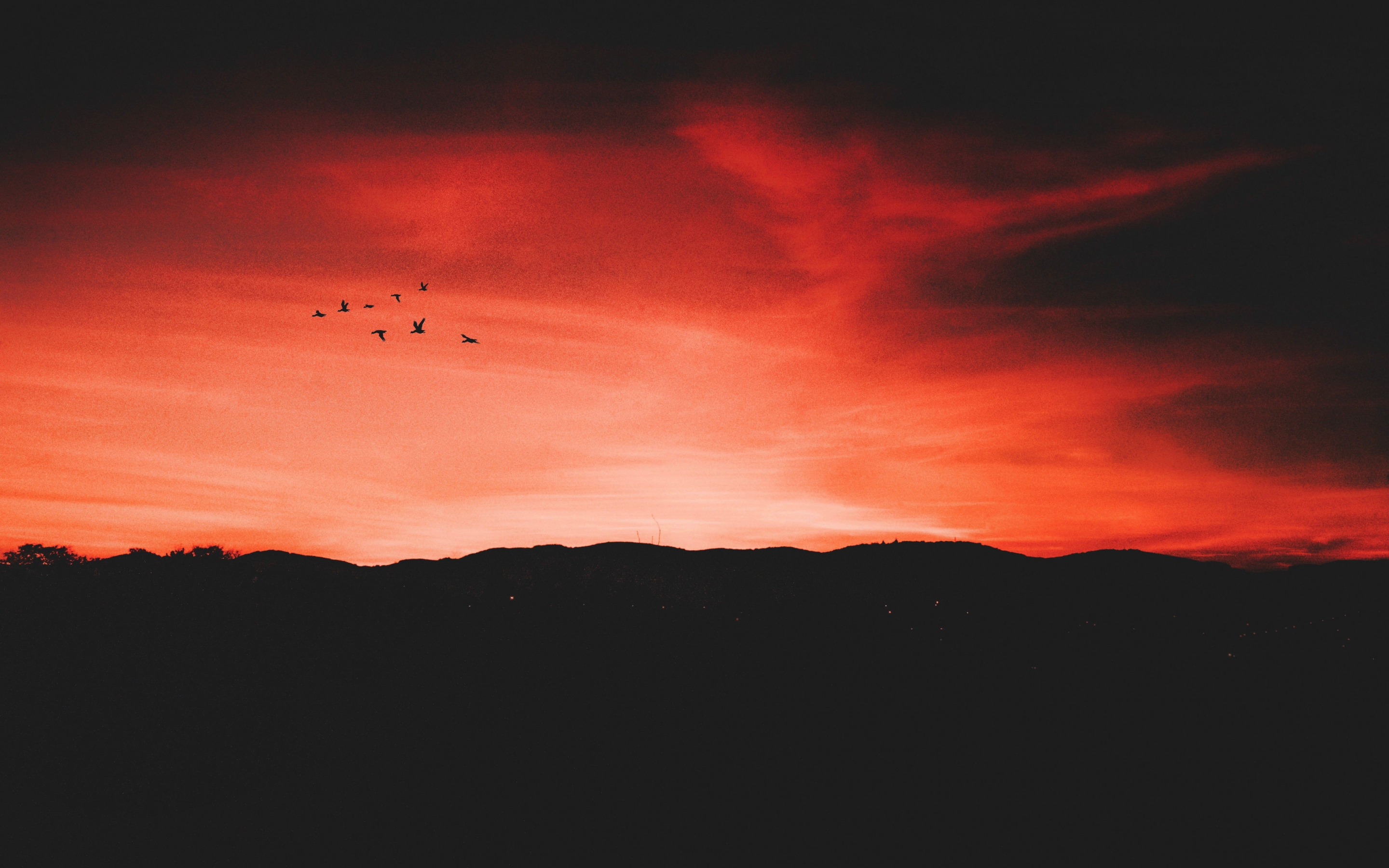 Birds, flight, sunset, sky, horizon, 2880x1800 wallpaper