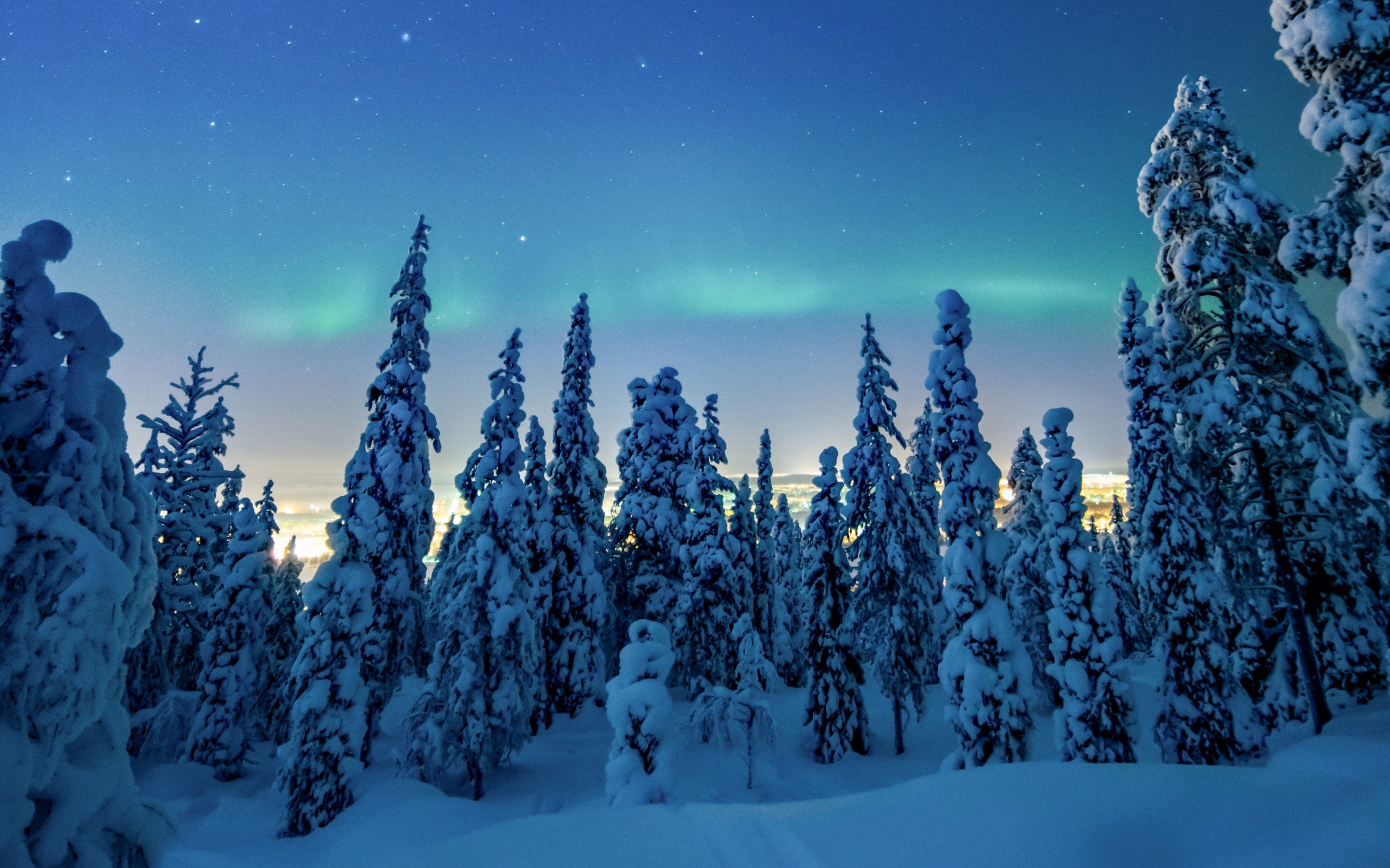 Winter, dawn, colorful sky, trees, 2880x1800 wallpaper
