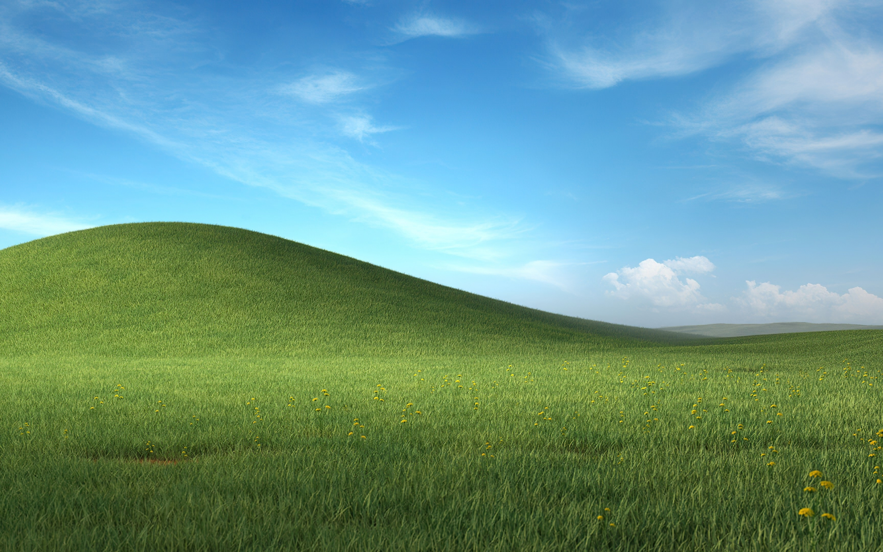 Meadow bliss, green grass, landscape, Microsoft Windows XP stock, 2880x1800 wallpaper