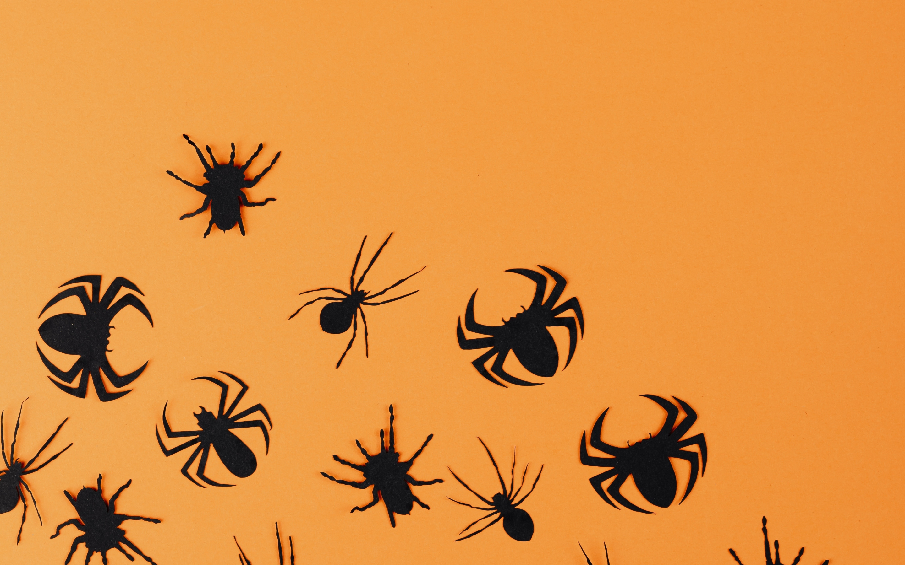 Halloween, black spiders wall stickers, minimal, 2880x1800 wallpaper