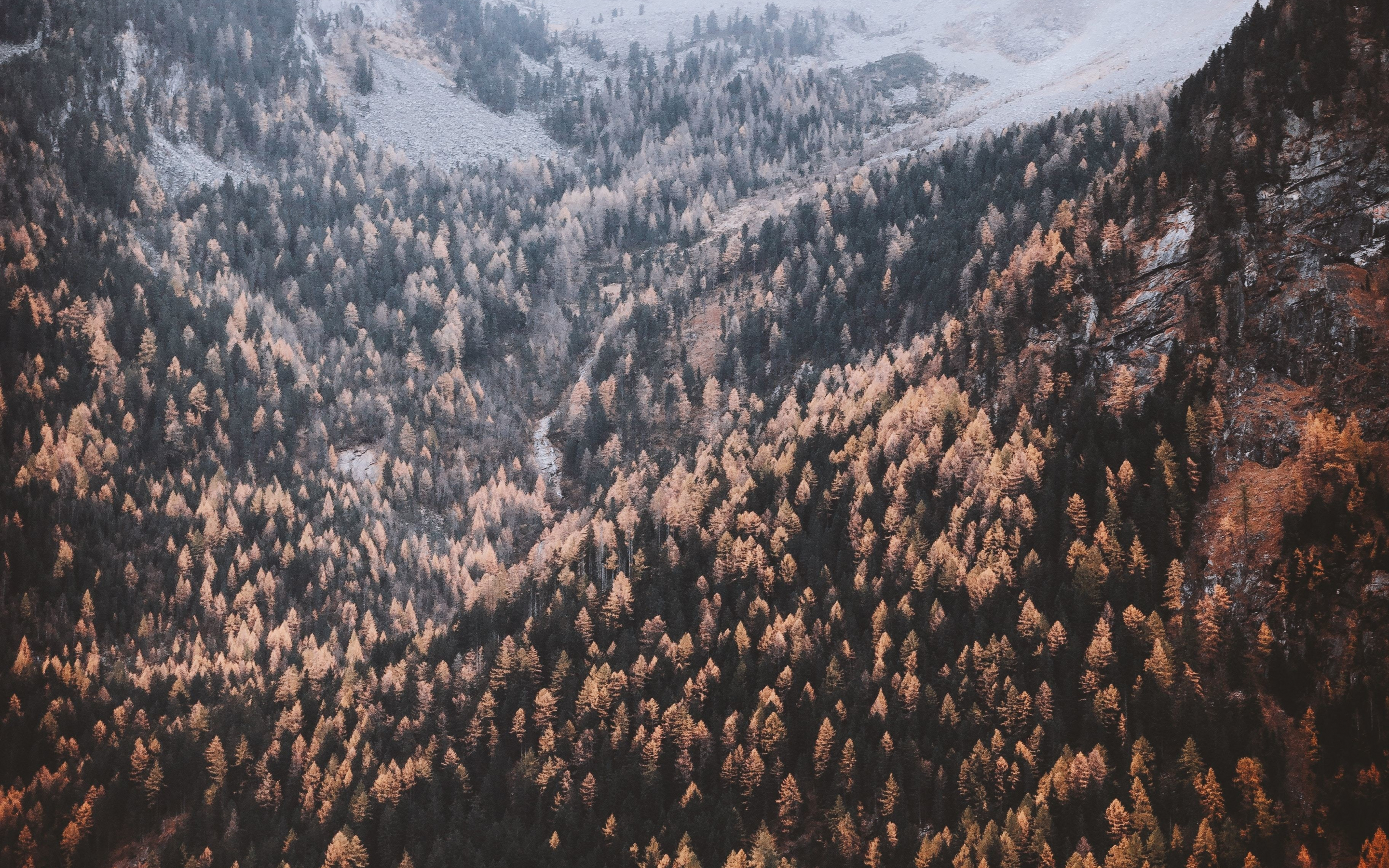 Beautiful, autumn of mountains, nature, trees, 2880x1800 wallpaper