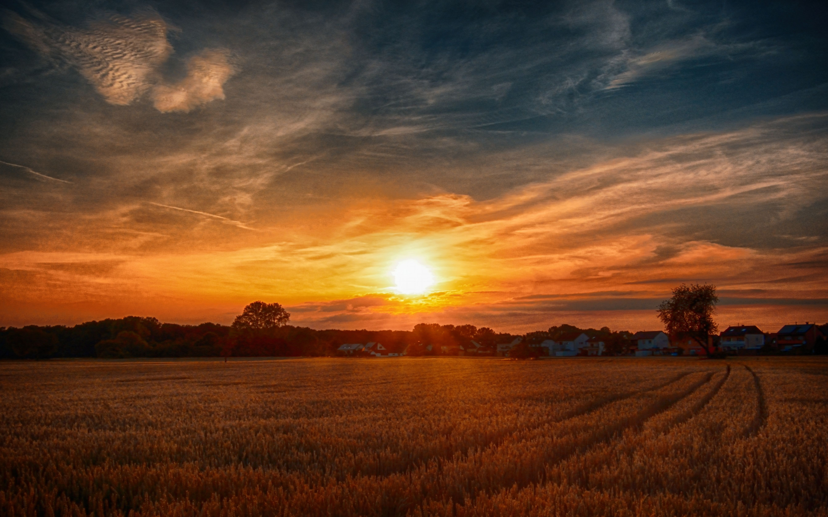 Sunset, wheat farm, golden, landscape, nature, 2880x1800 wallpaper