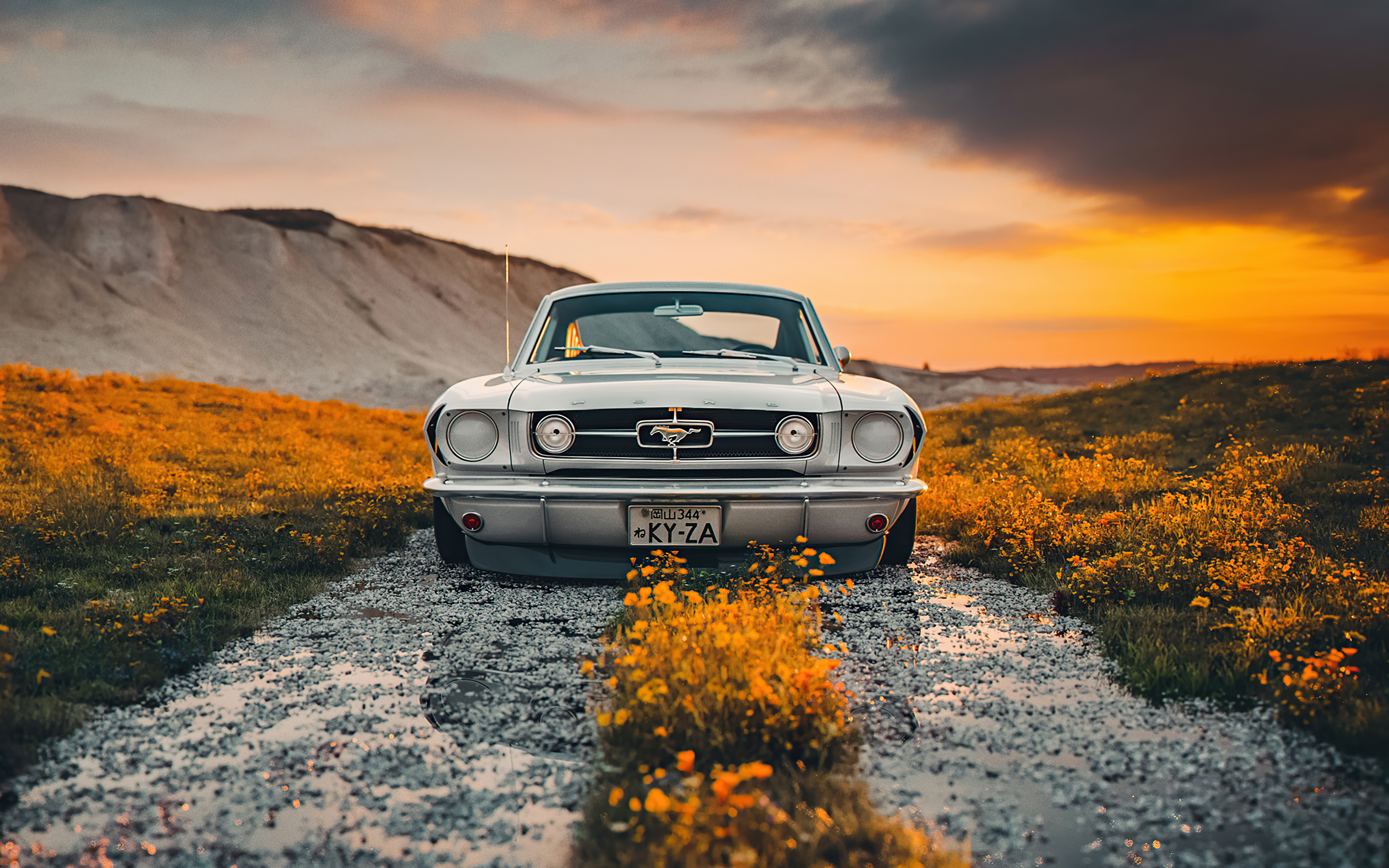 2022 Ford Mustang BBS Motorsport, outdoor & off-road, 2880x1800 wallpaper