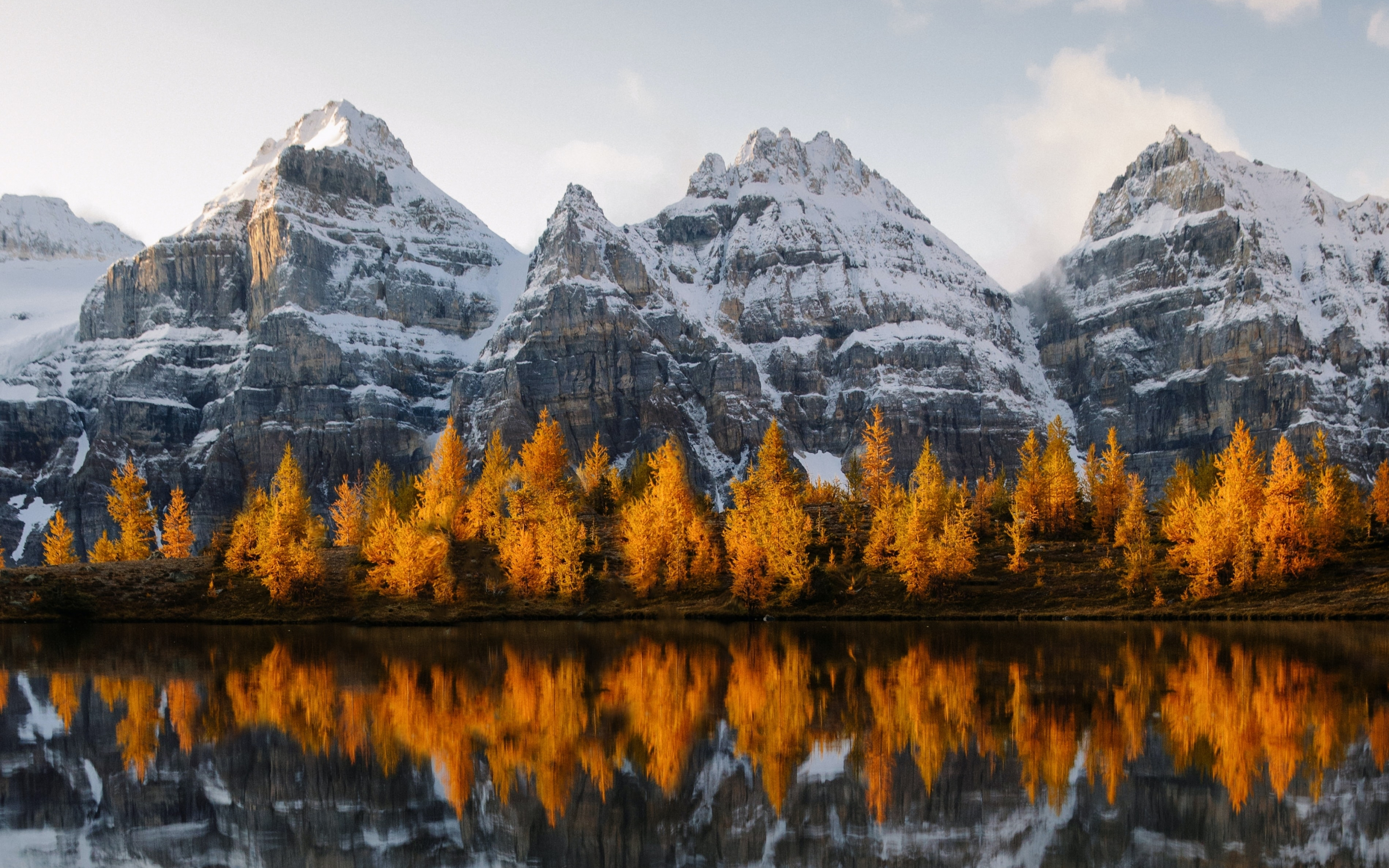 Golden trees, lake, mountains, 2880x1800 wallpaper