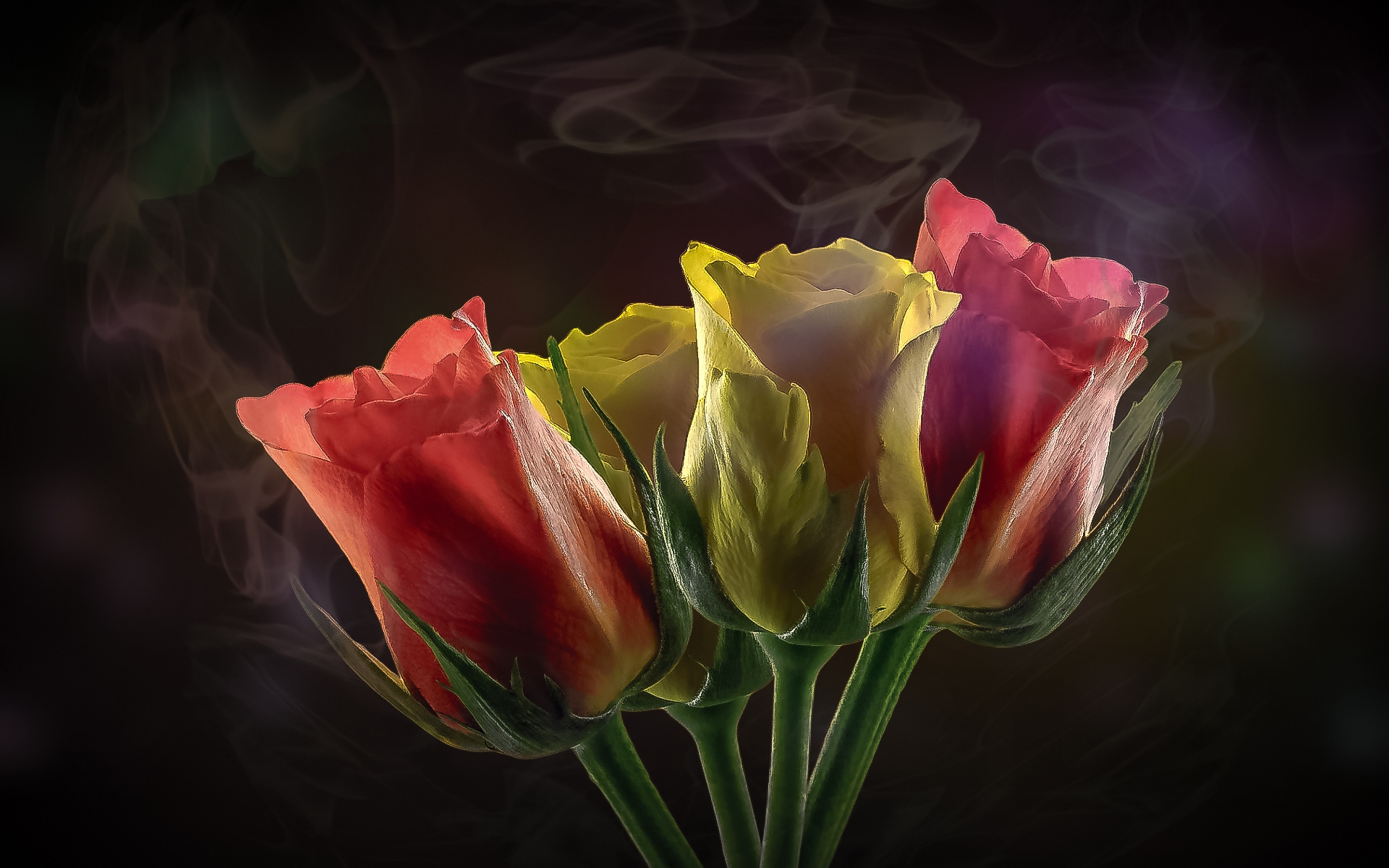 Roses, smoke, flowers, portrait, 2880x1800 wallpaper