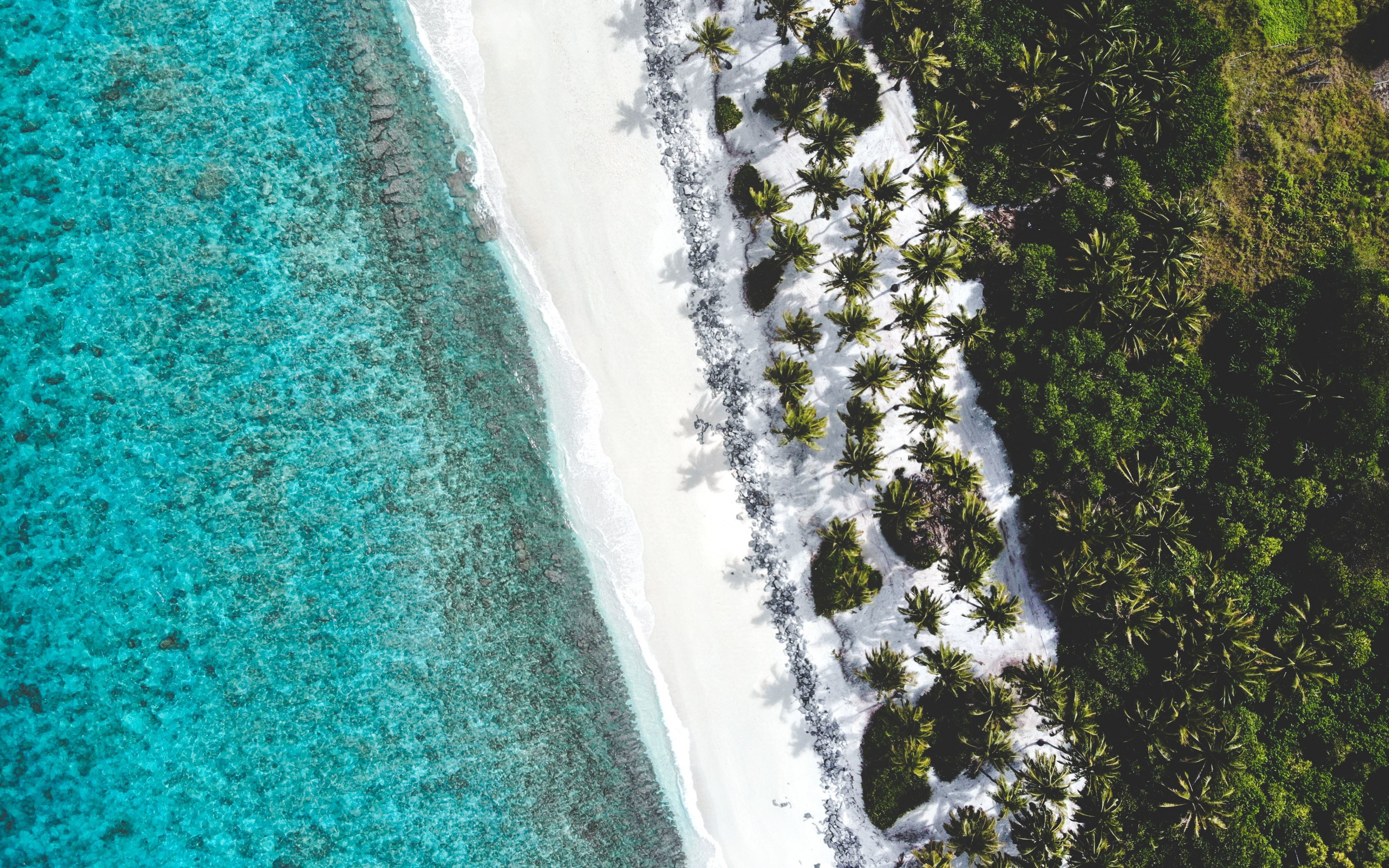 Adorable view, beach, tropical sea, island, 2880x1800 wallpaper