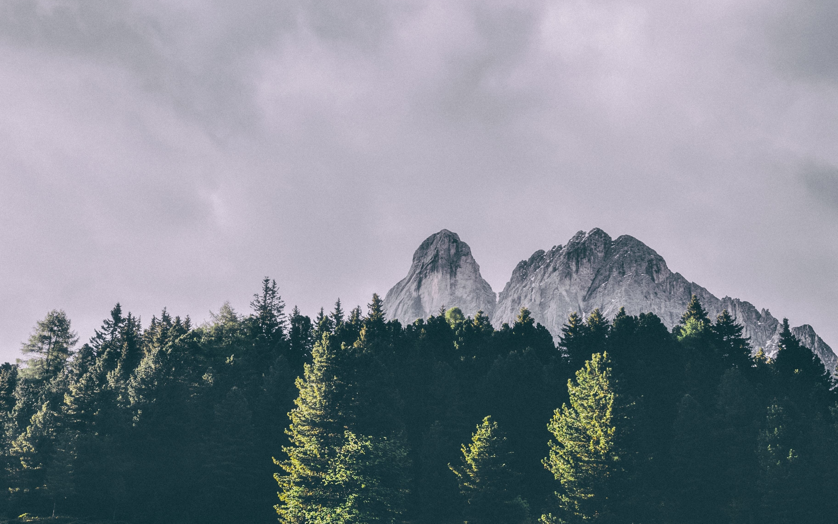 Mountains, trees, Peitlerkofel, Dolomites, Italy, 2880x1800 wallpaper