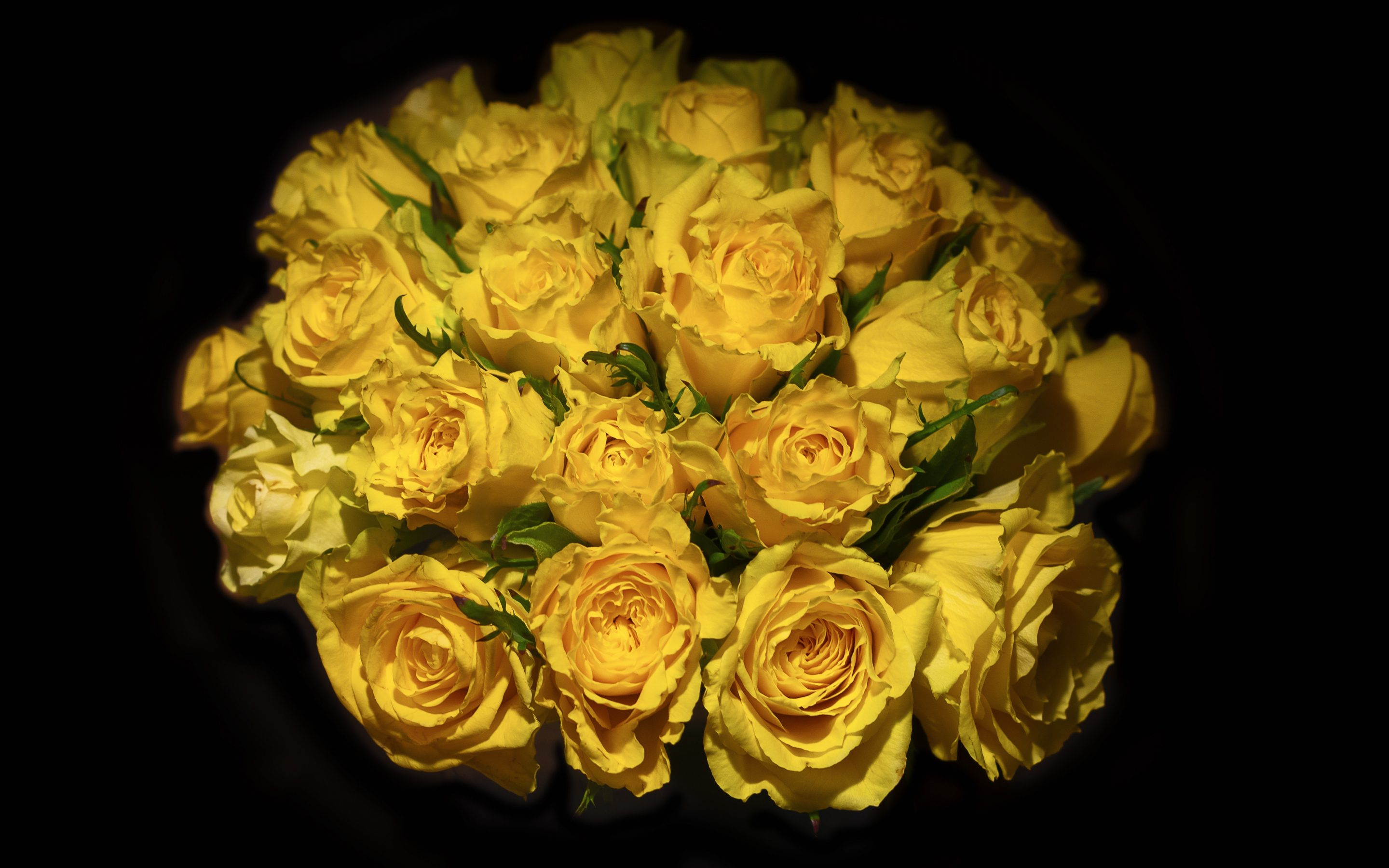 Yellow roses, portrait, bouquet, 2880x1800 wallpaper