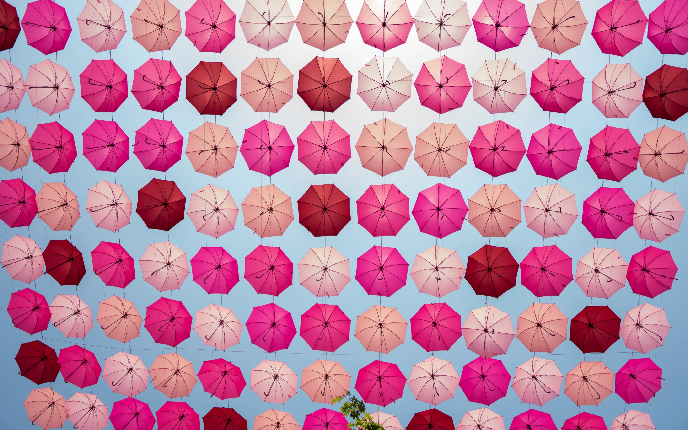 Decoration, umbrella pink, 2880x1800 wallpaper