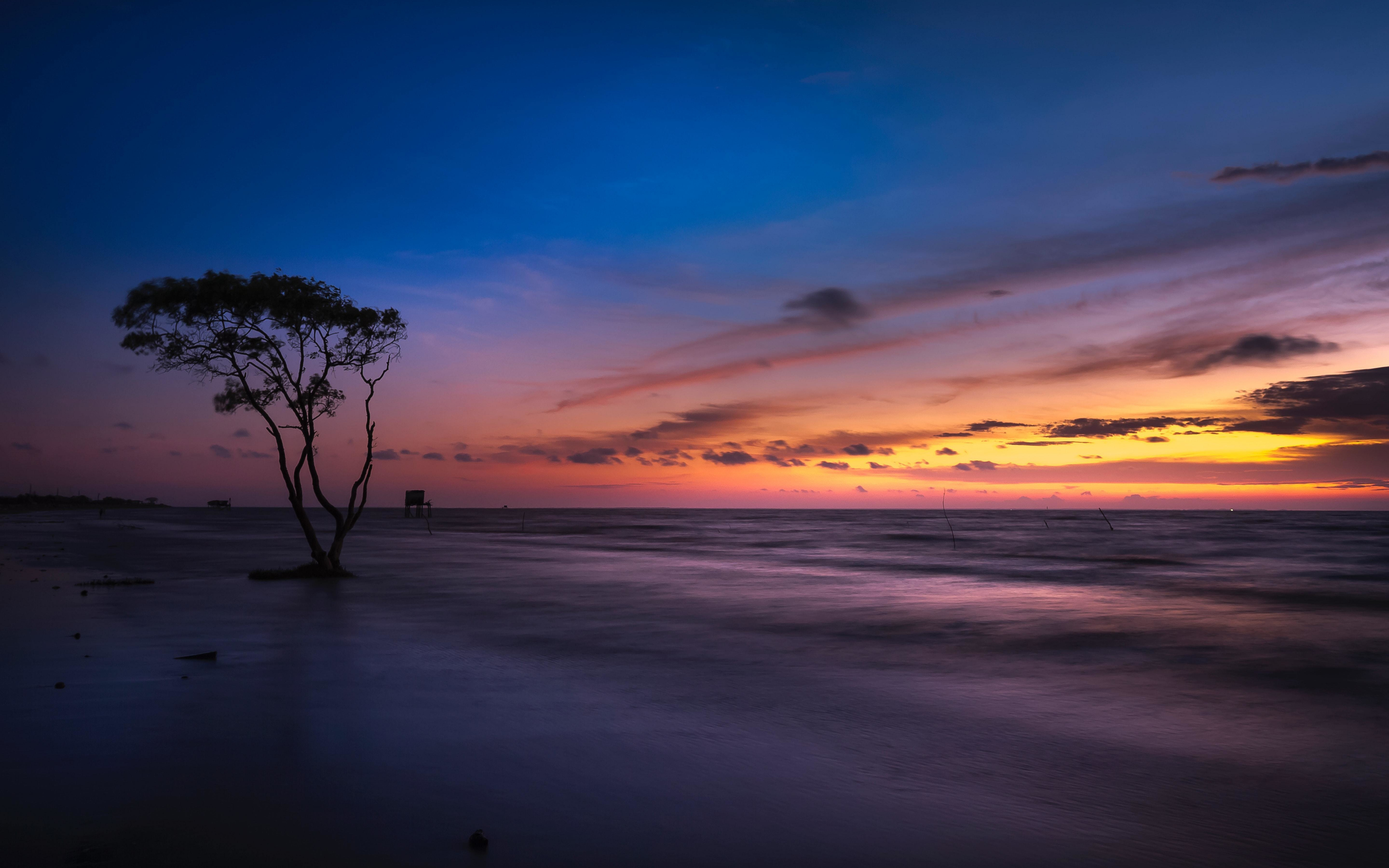 Tree, landscape, beautiful, beach, sunset, 2880x1800 wallpaper