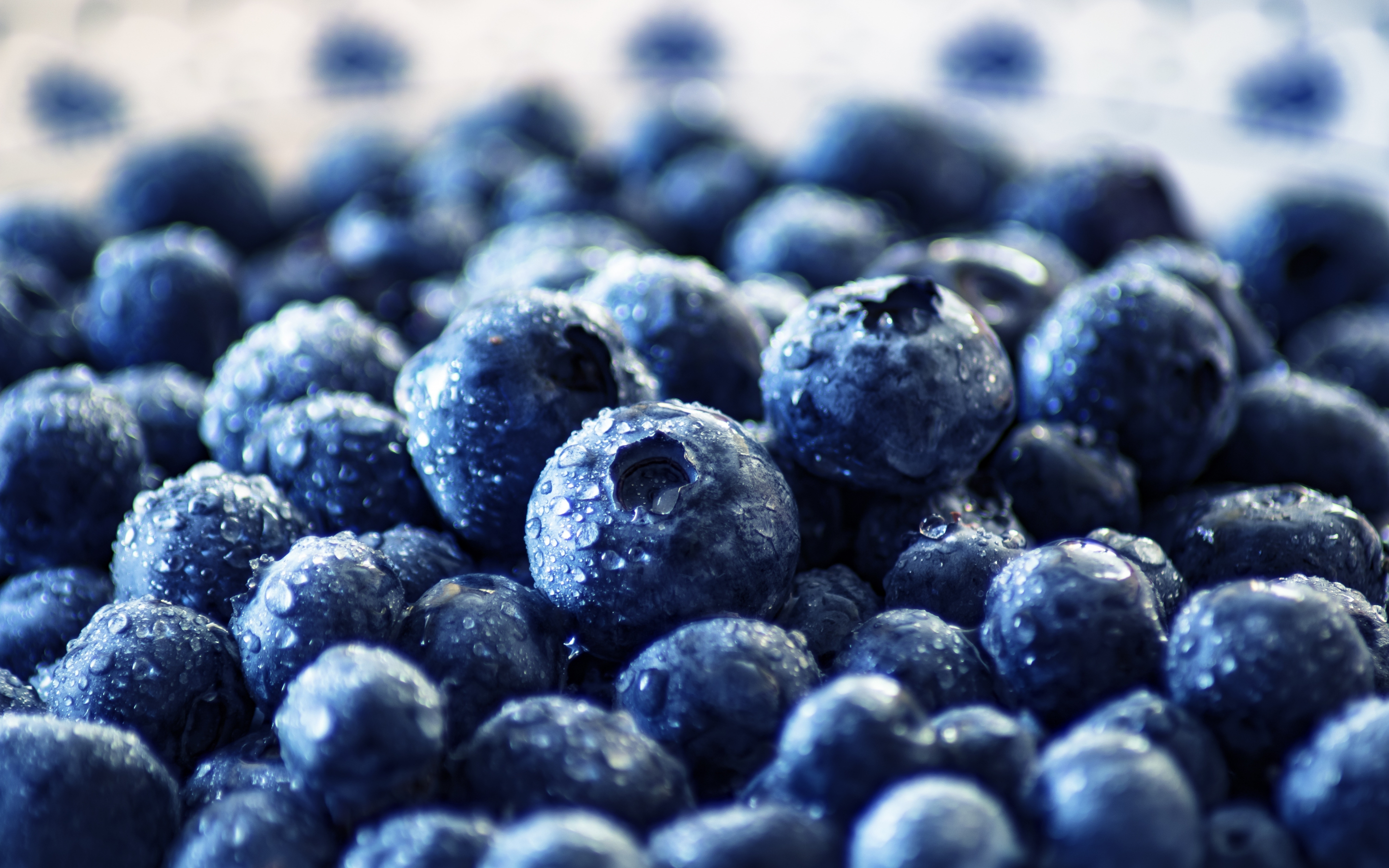 Fresh, fruits, blueberry, drops, 2880x1800 wallpaper