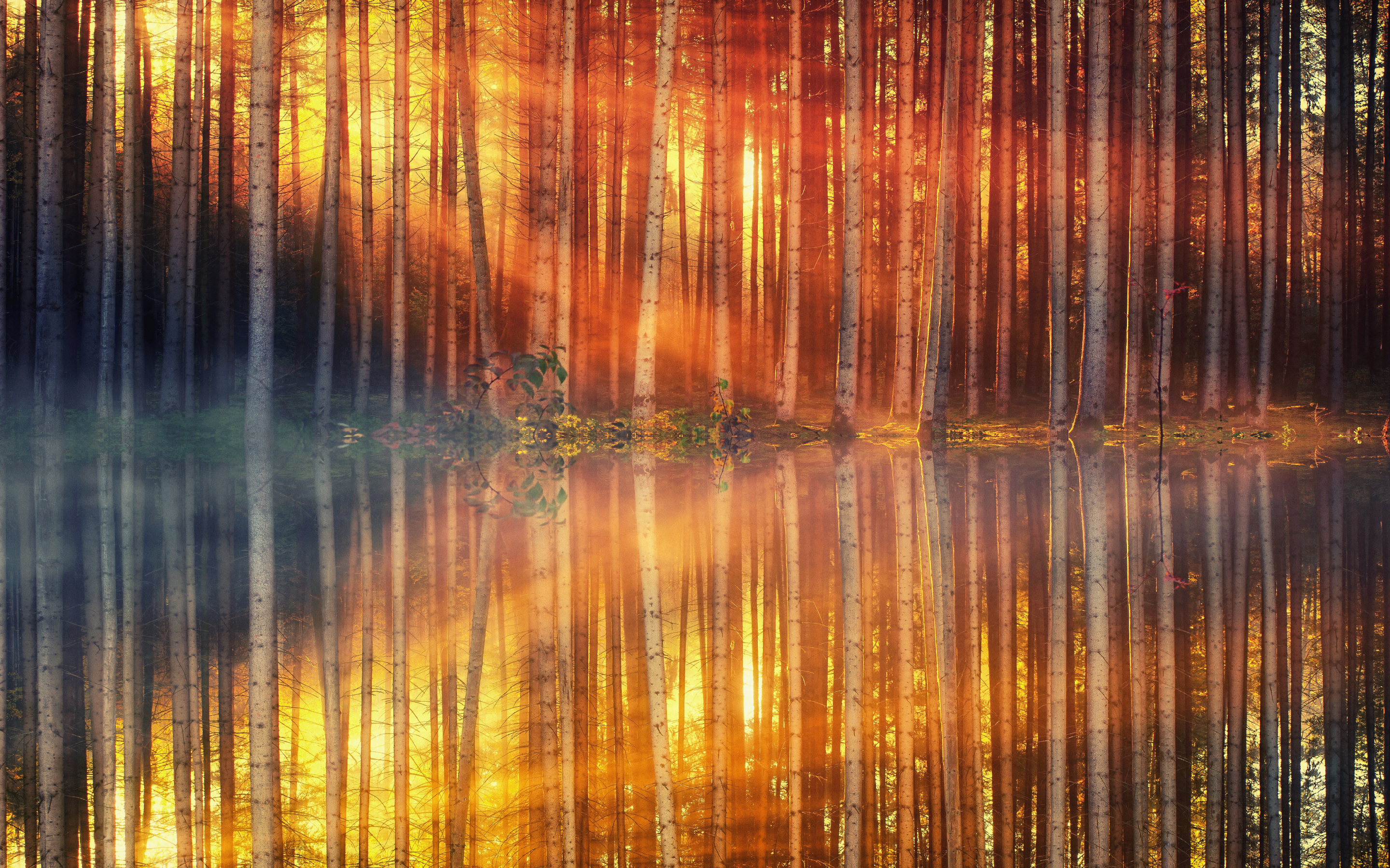 Sunlight, sunbeams, tree, autumn, lake, reflections, 2880x1800 wallpaper