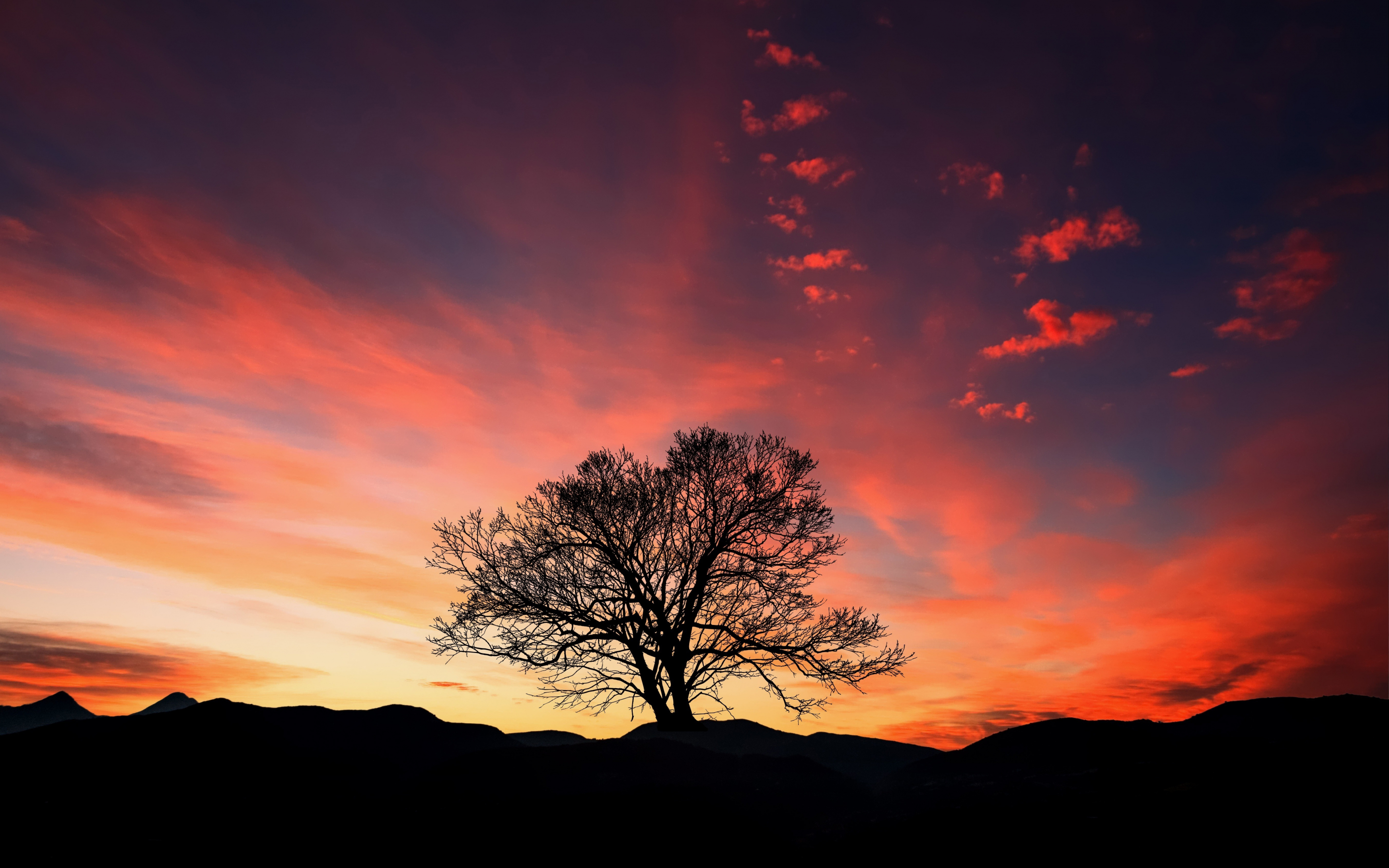 Sunset, orange sky, tree, landscape, 2880x1800 wallpaper