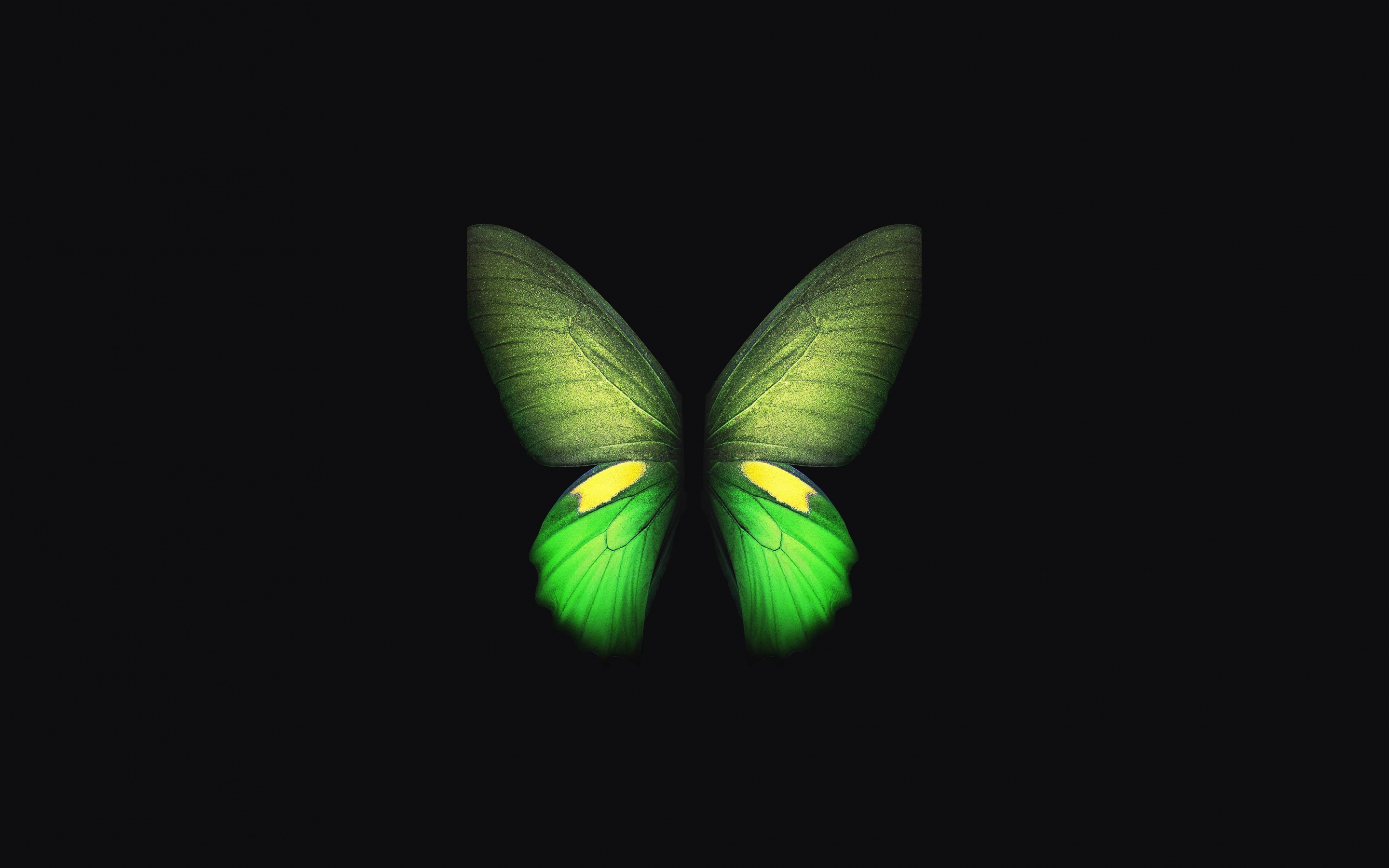 Samsung Galaxy Fold, green butterfly, minimal, art, 2880x1800 wallpaper