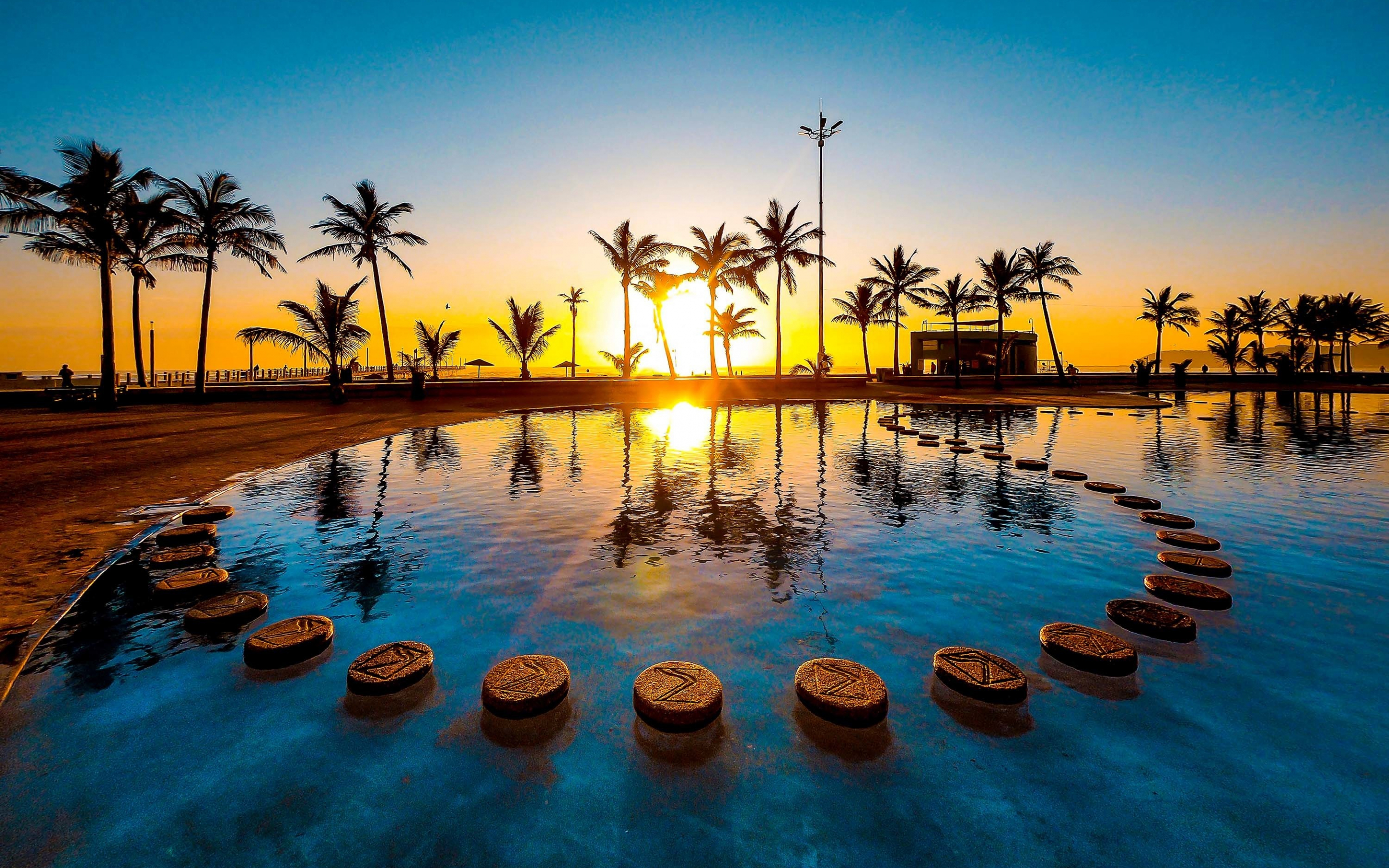Sunset, palm tree, pool, water, 2880x1800 wallpaper